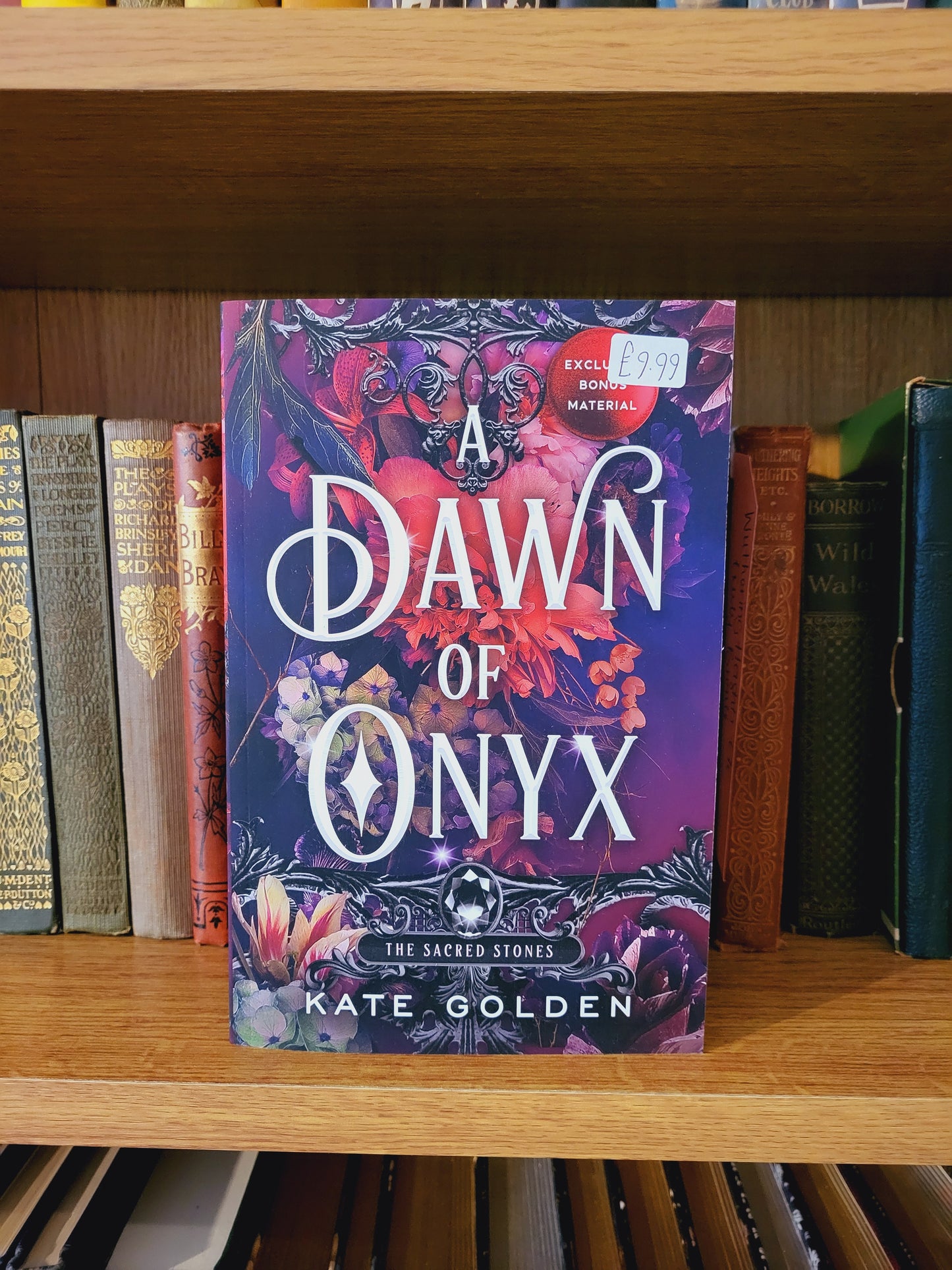A Dawn of Onyx - Kate Golden
