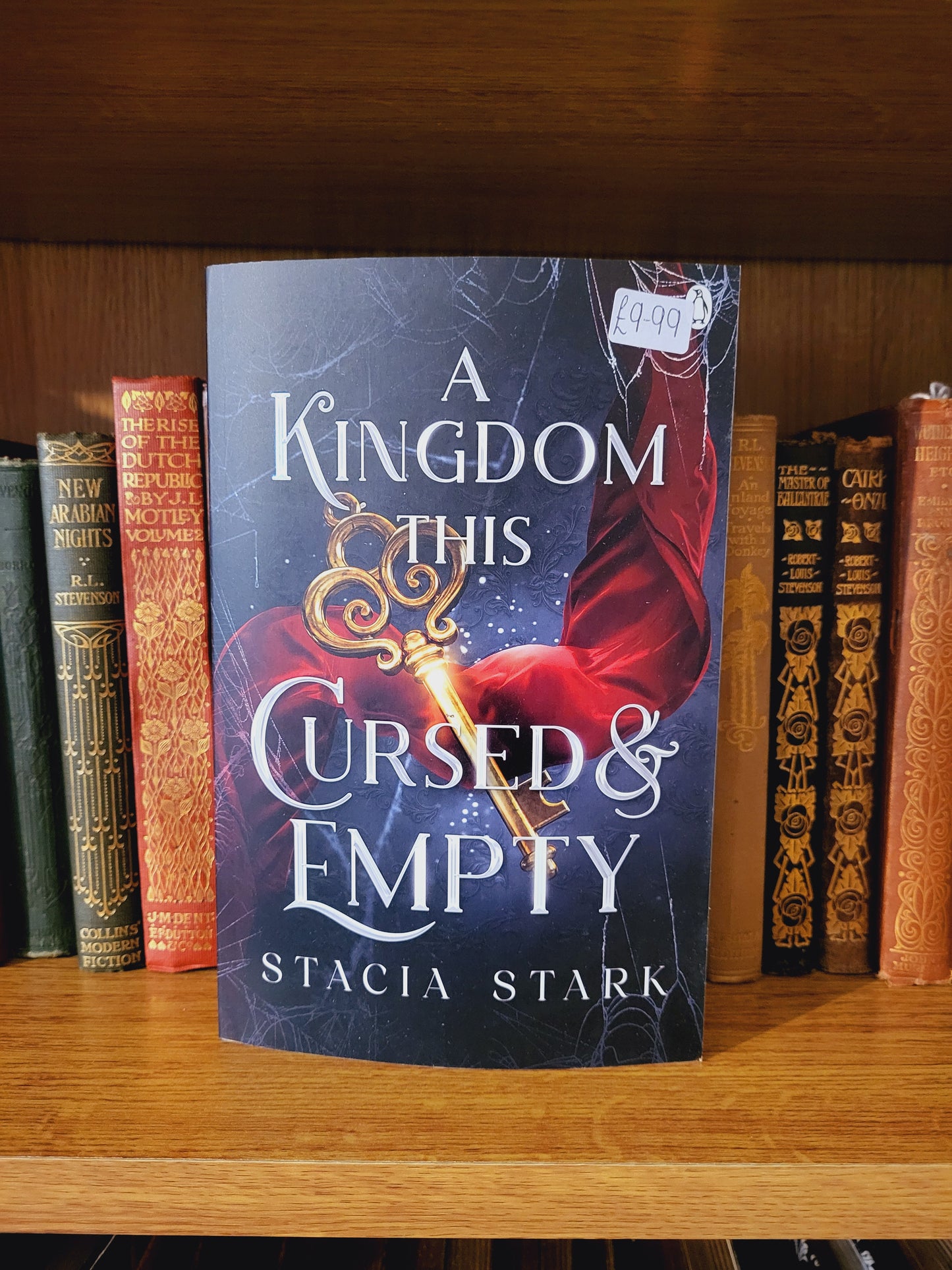 A Kingdom This Cursed & Empty - Stacia Stark