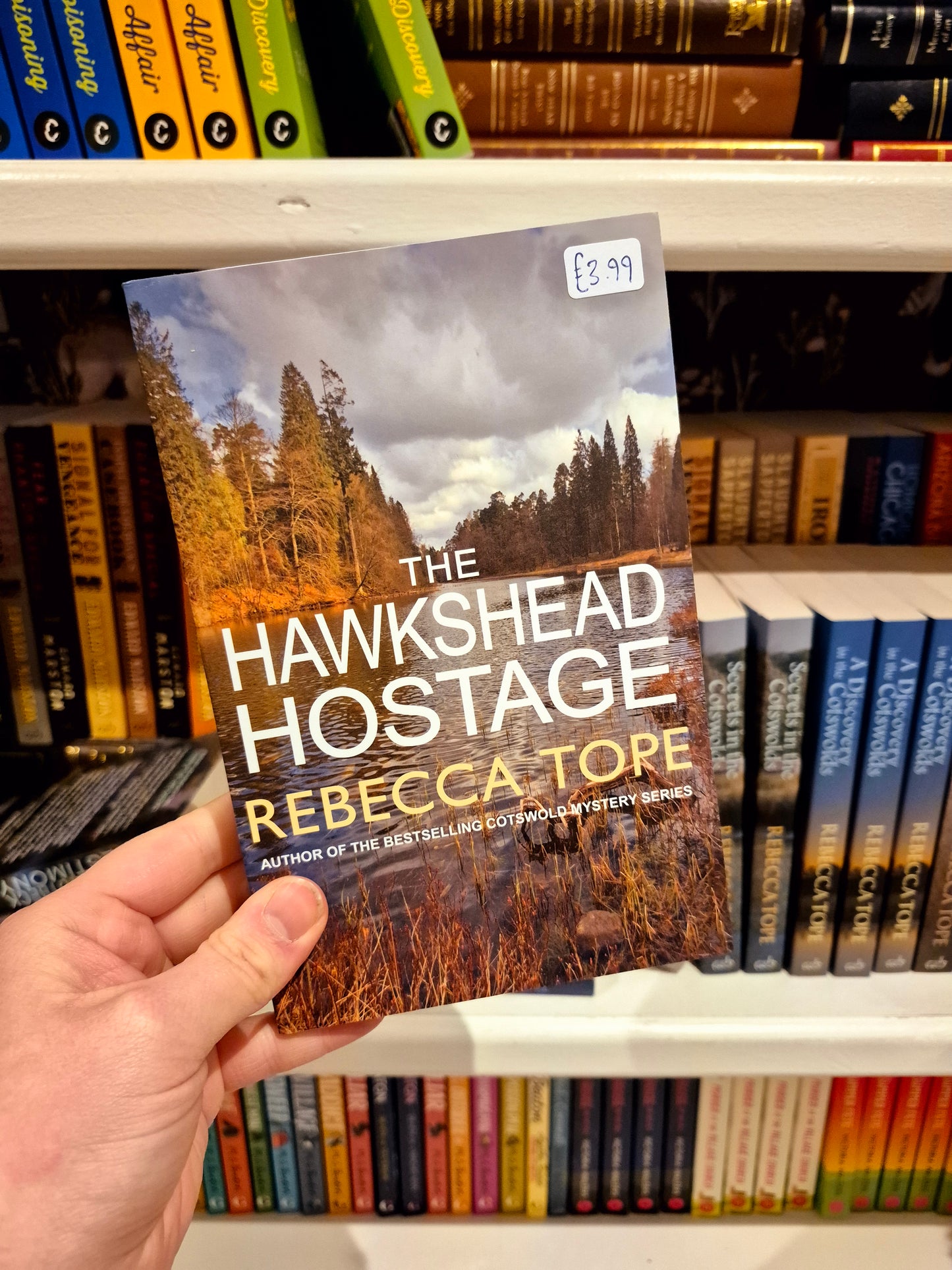 The Hawkshead Hostage - Rebecca Tope