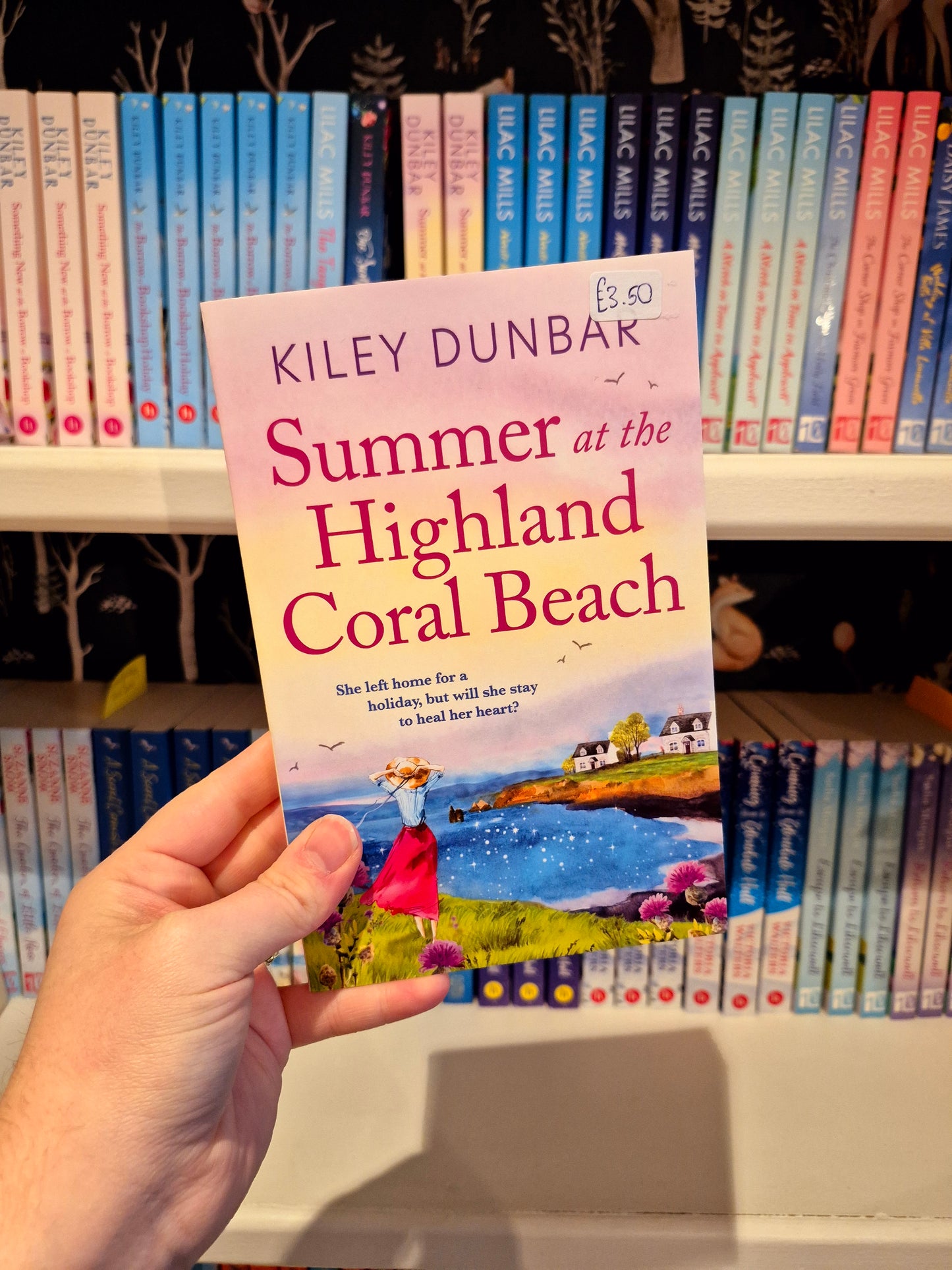 Summer at the Highland Coral Beach - Kiley Dunbar