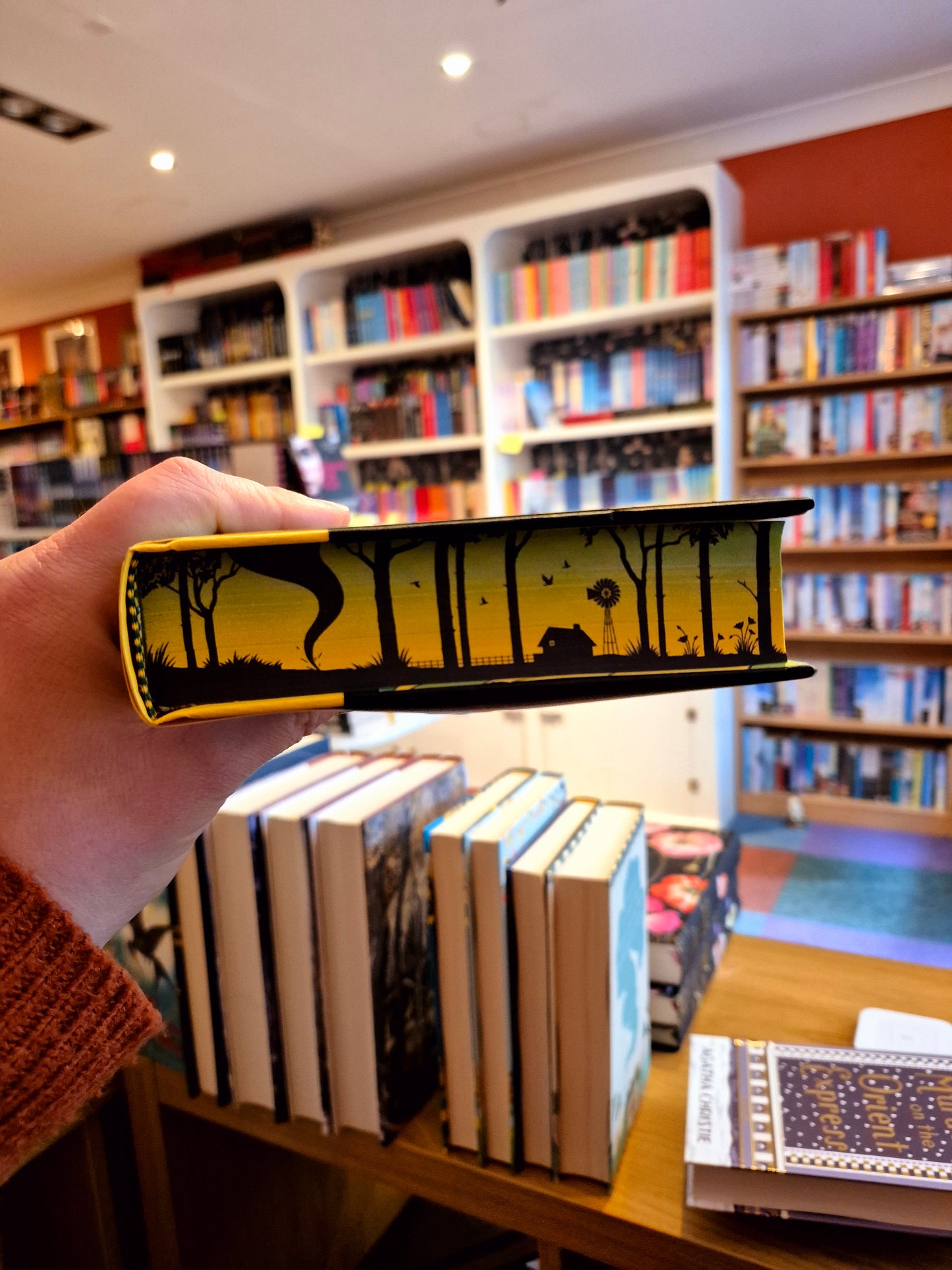 The Wizard of Oz and Other Tales of Oz - L. Frank Baum (Sprayed Edge Edition)