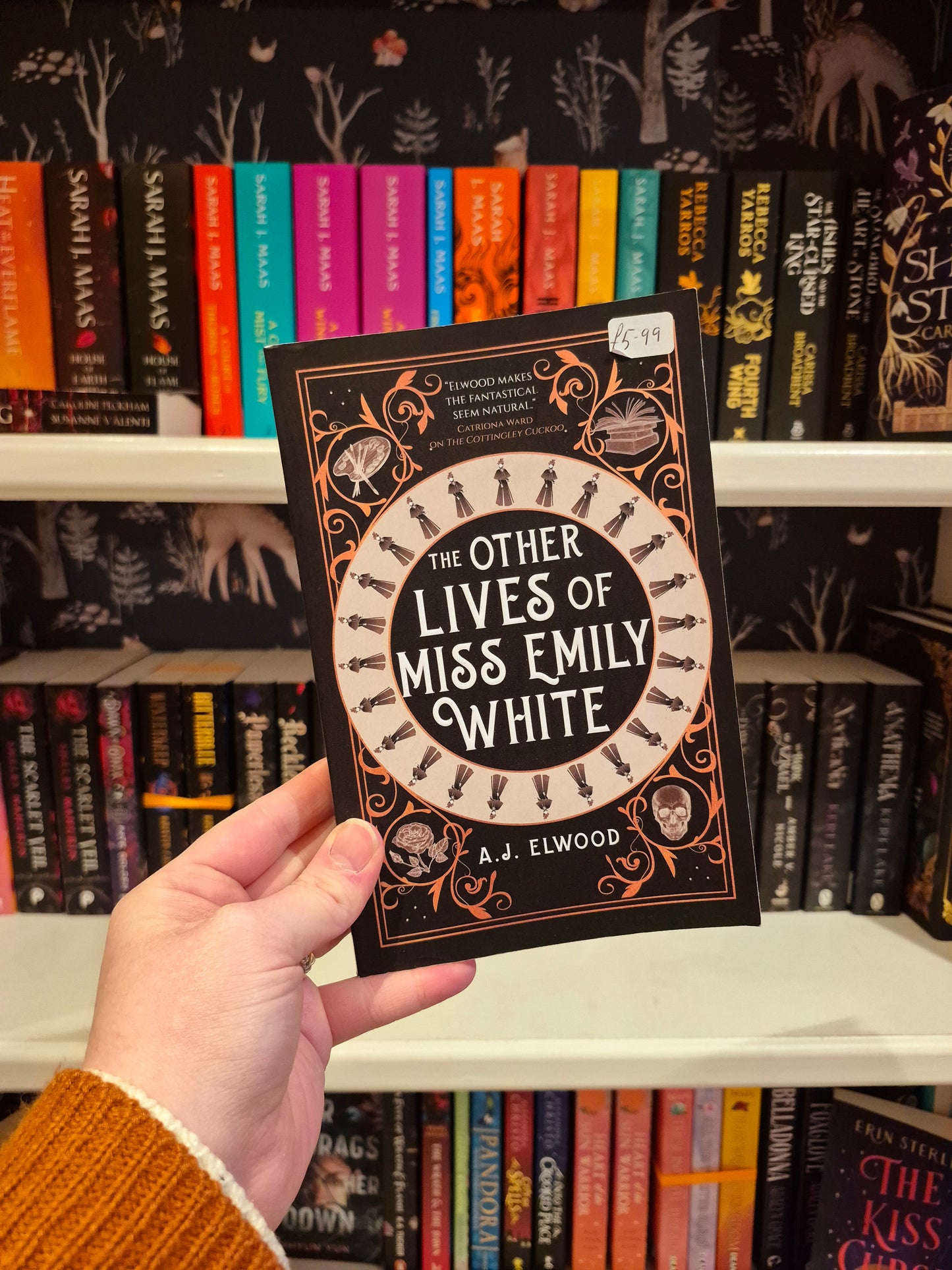 The Other Lives of Miss Emily White - AJ Elwood