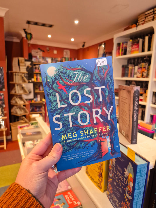 The Lost Story - Meg Schaffer