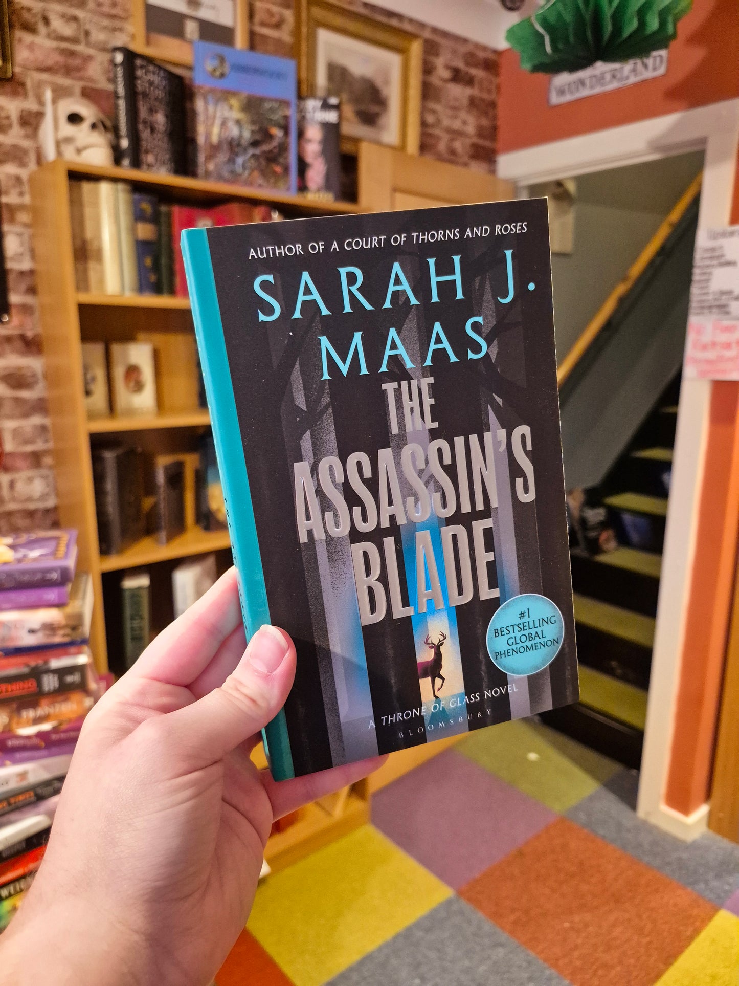 The Assassin's Blade - Sarah J Maas