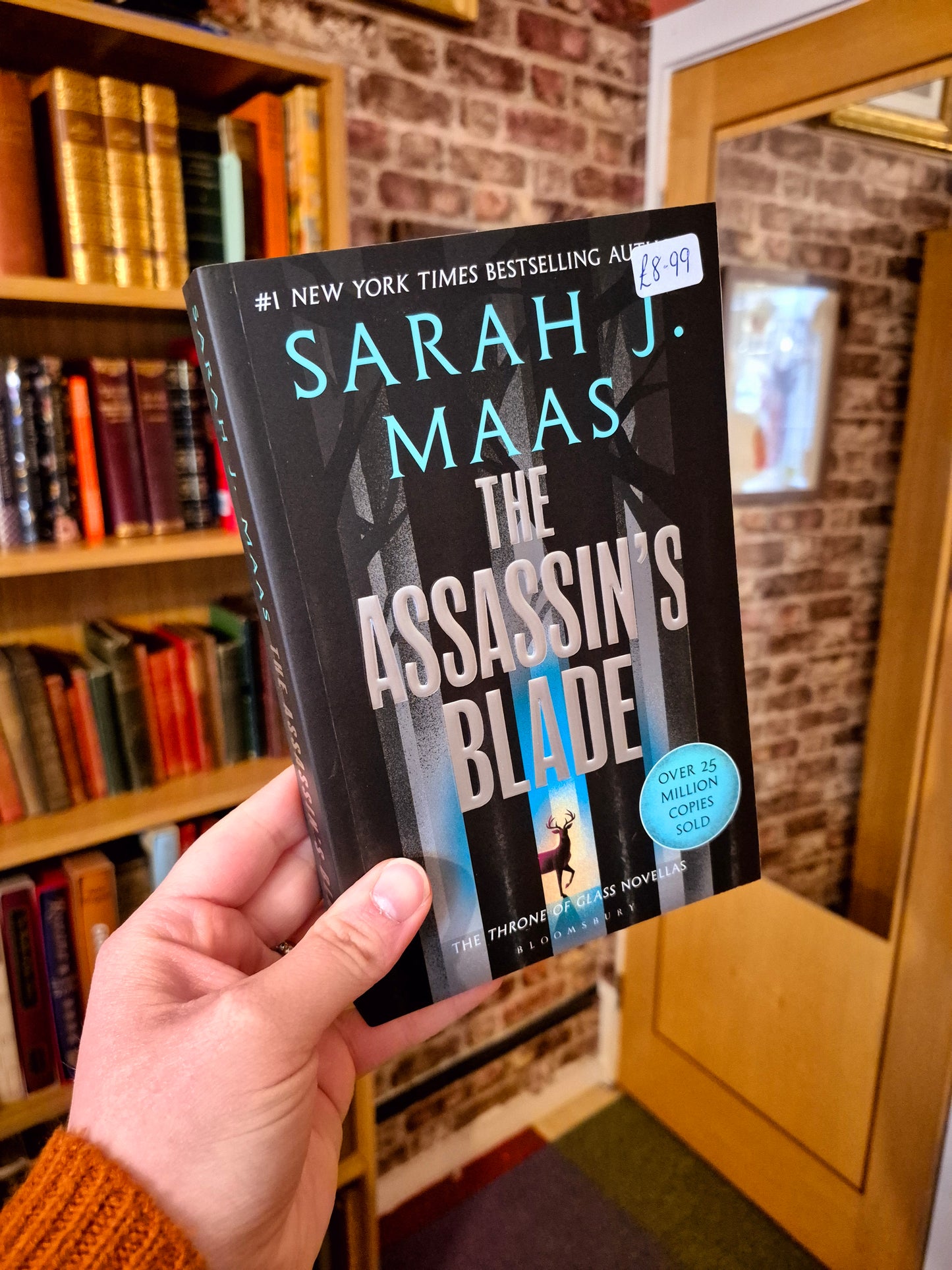 The Assassin's Blade - Sarah J Maas