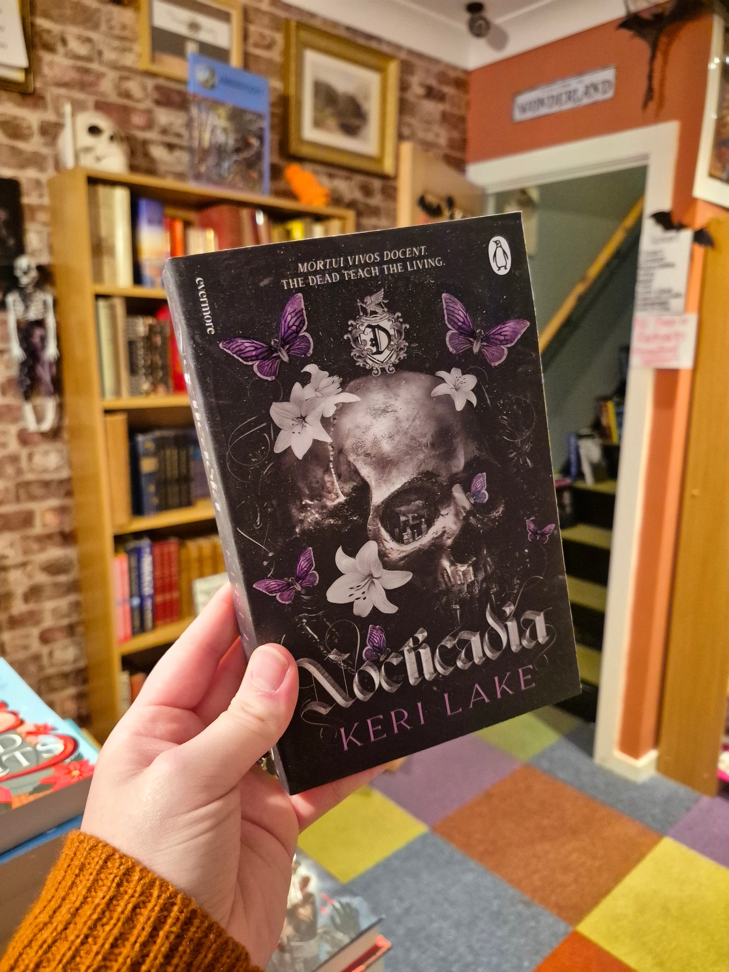 Nocticadia - Keri Lake