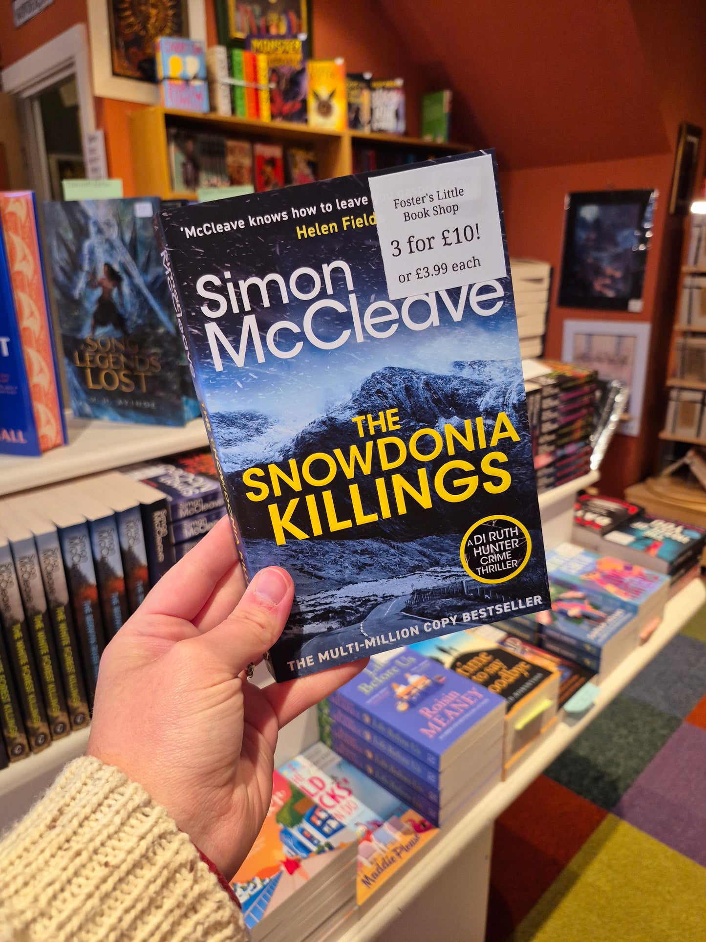 The Snowdonia Killings - Simon McCleave (Book 1)
