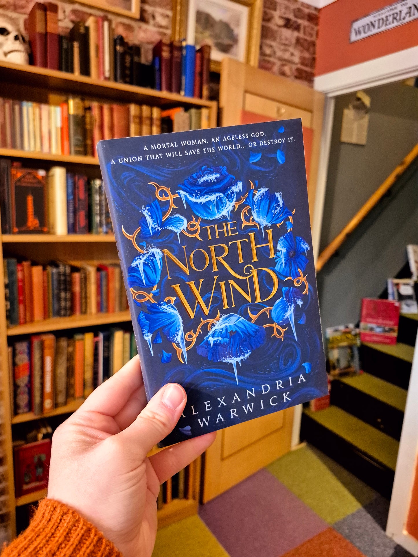 The North Wind - Alexandria Warwick