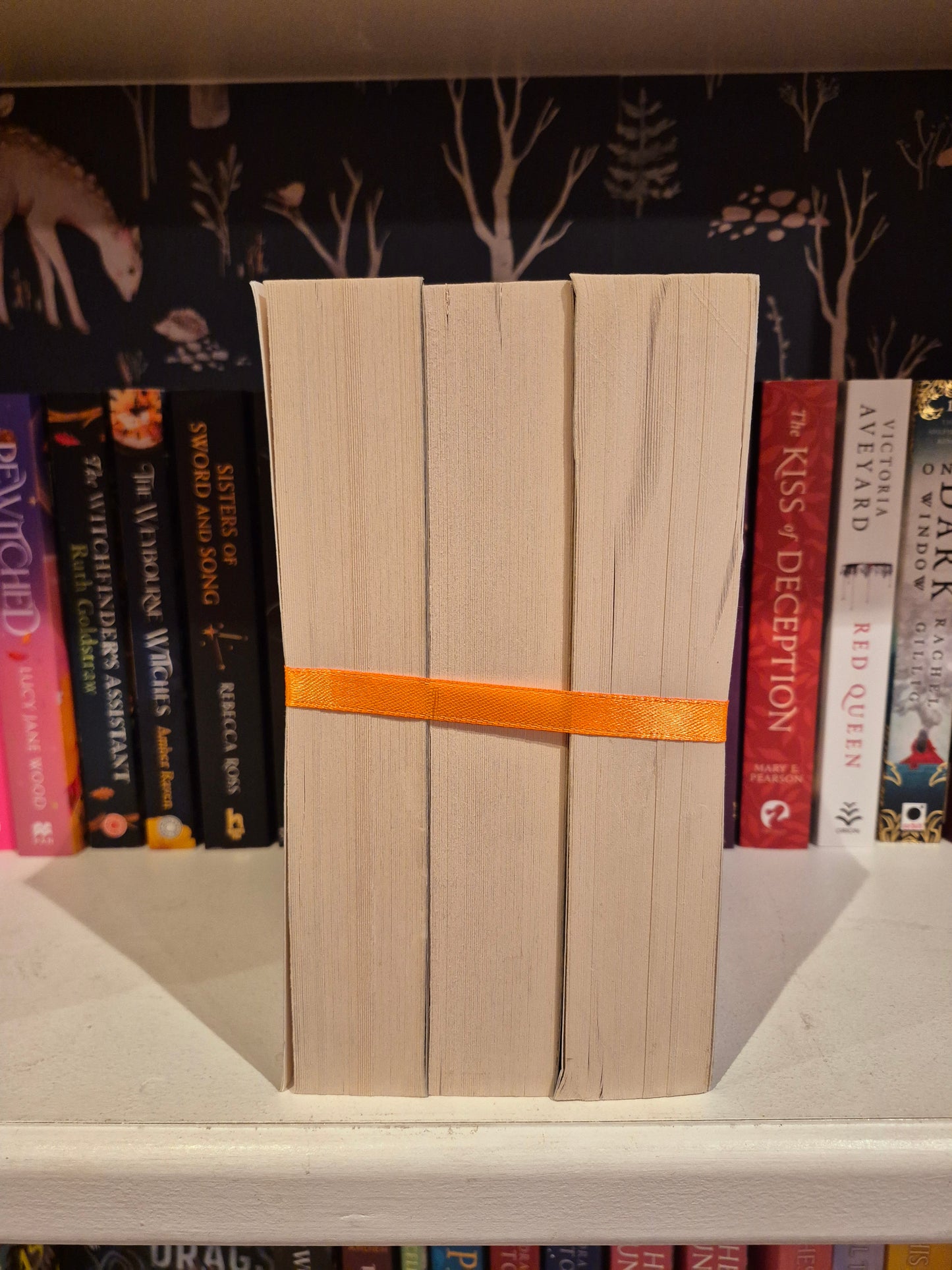 Cassandra Clare 3-Book Bundle (Fantasy)