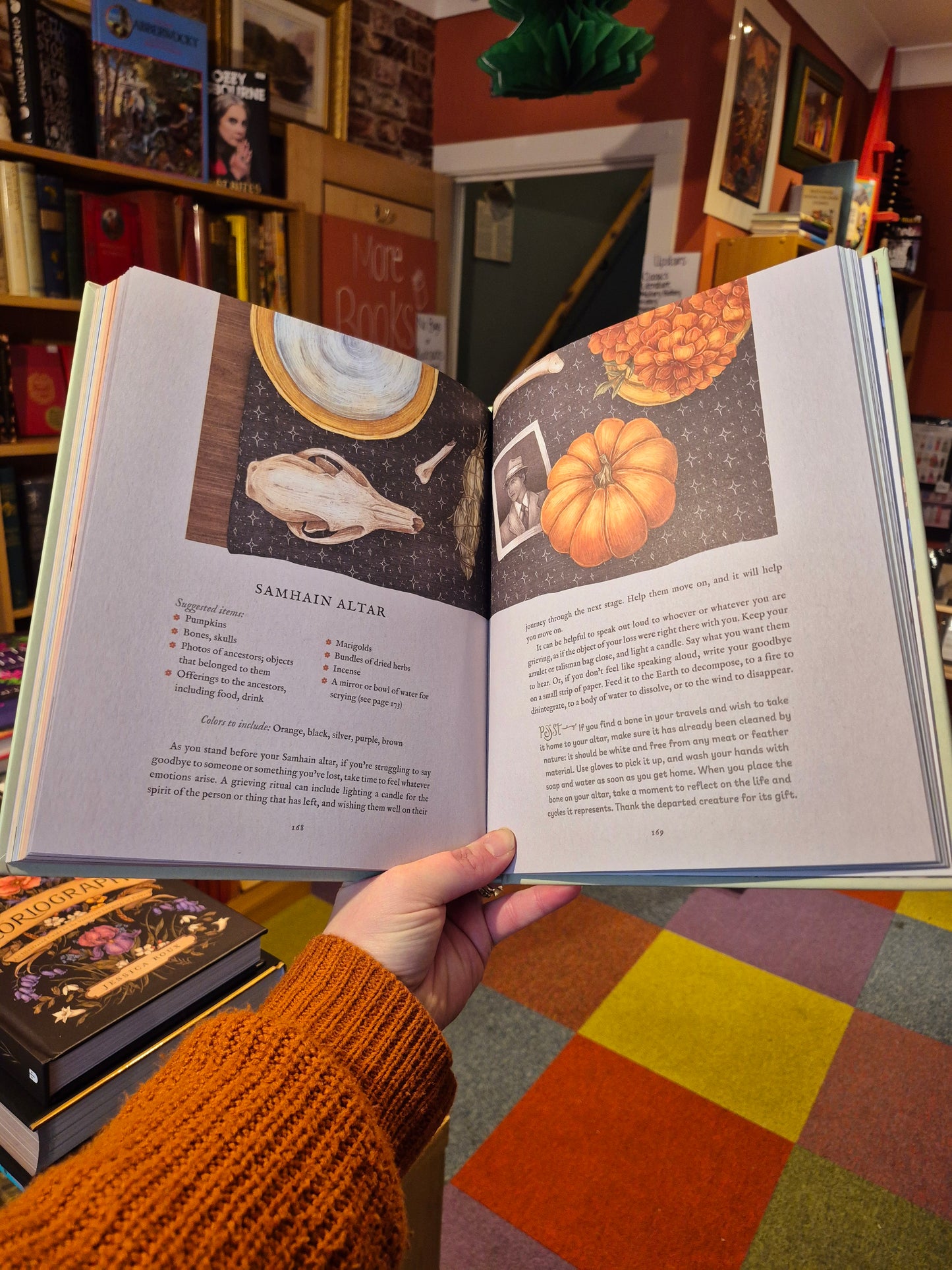 The Wheel of the Year - Fiona Cook & Jessica Roux