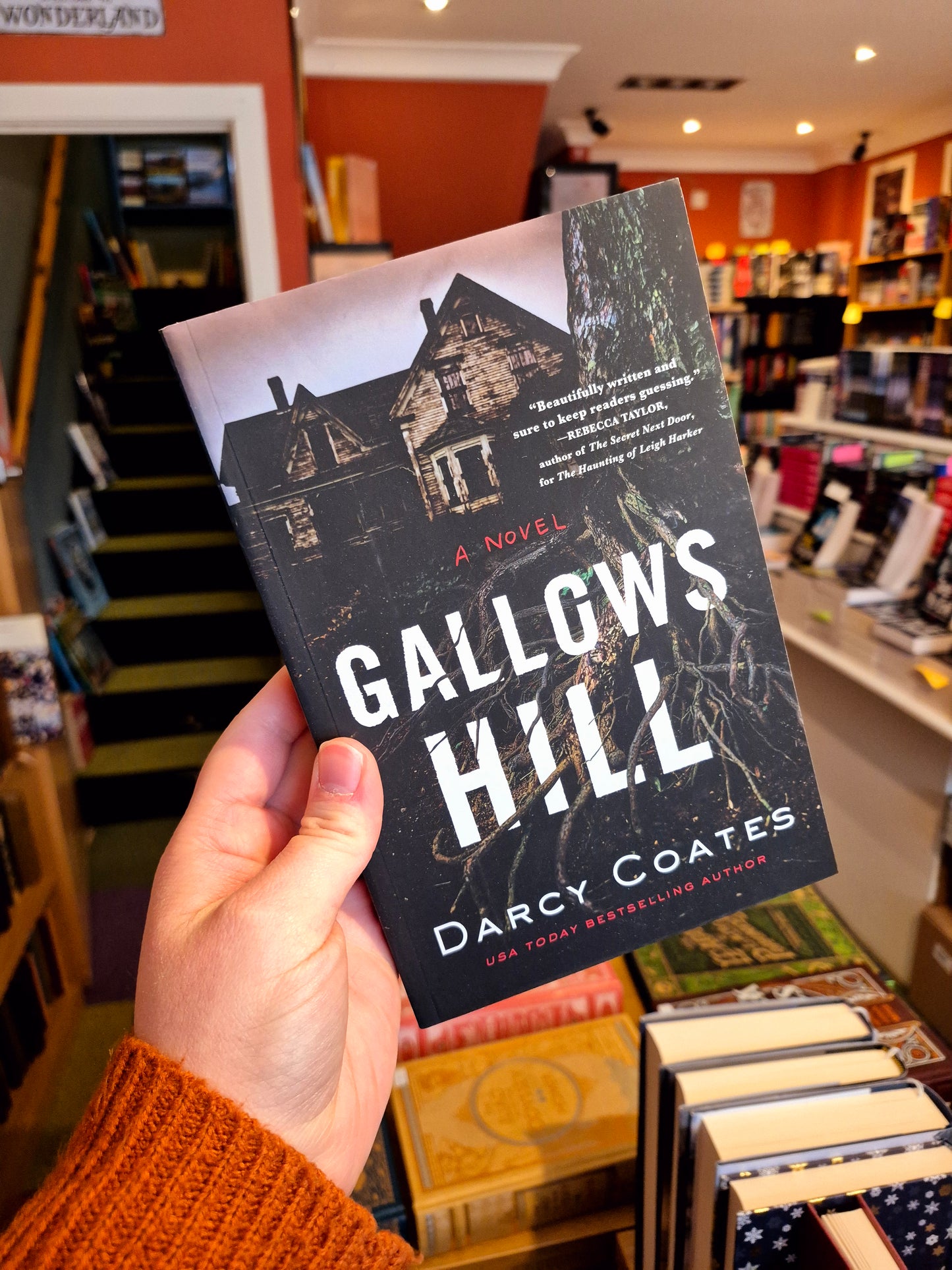 Gallows Hill - Darcy Coates