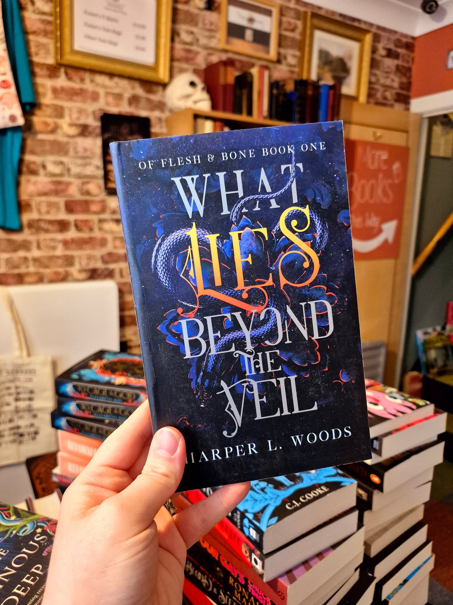 What Lies Beyond the Veil - Harper L. Woods