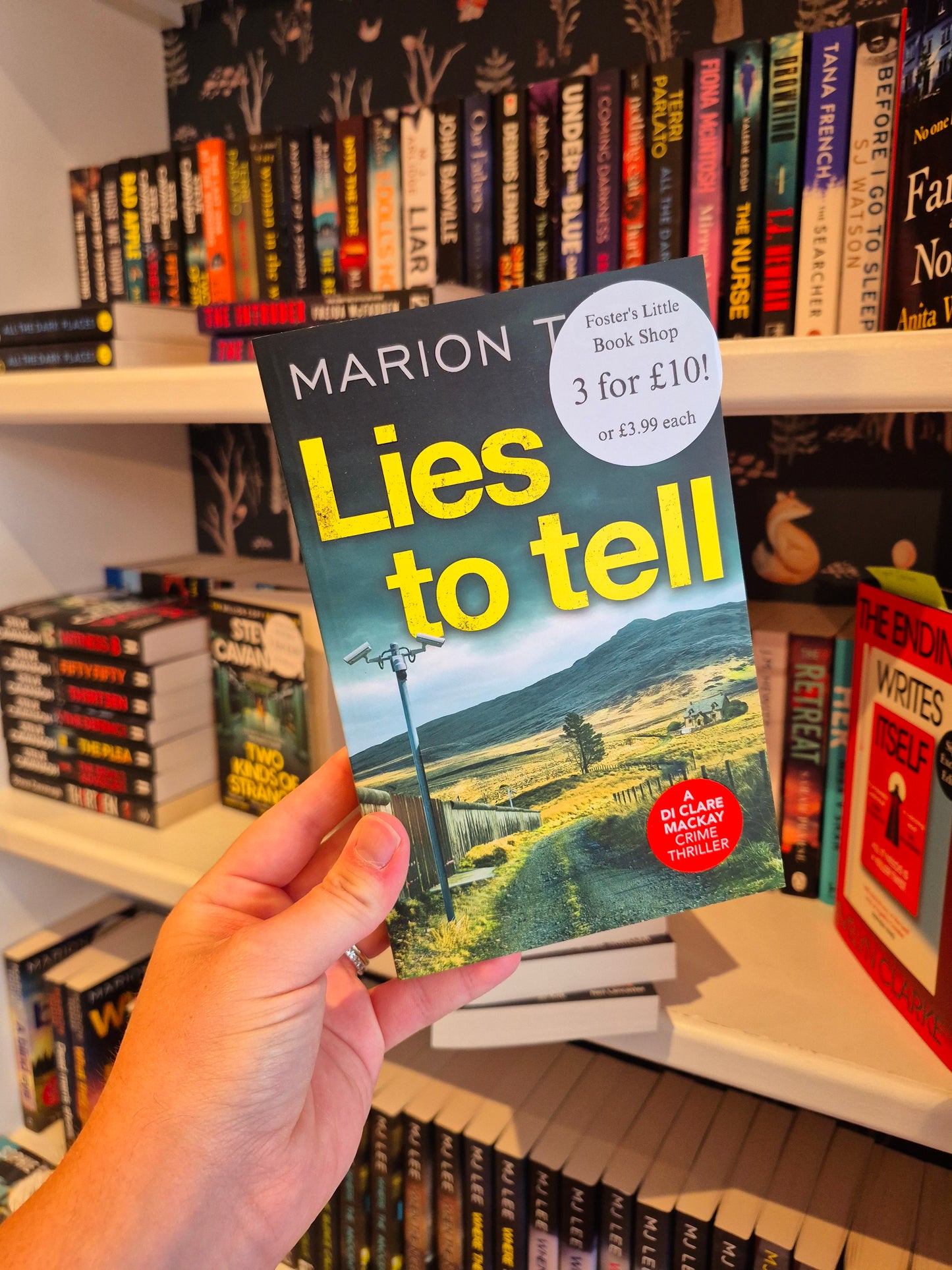 Lies to Tell - Marion Todd