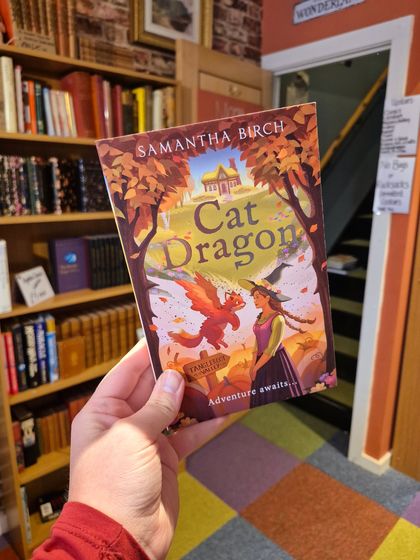 Cat Dragon - Samantha Birch