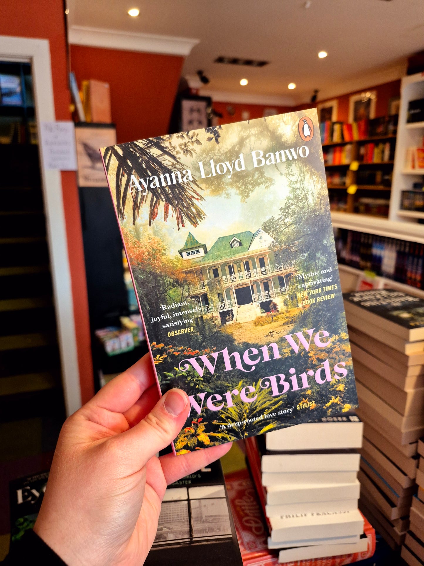 When We Were Birds - Annaya Lloyd Banwo