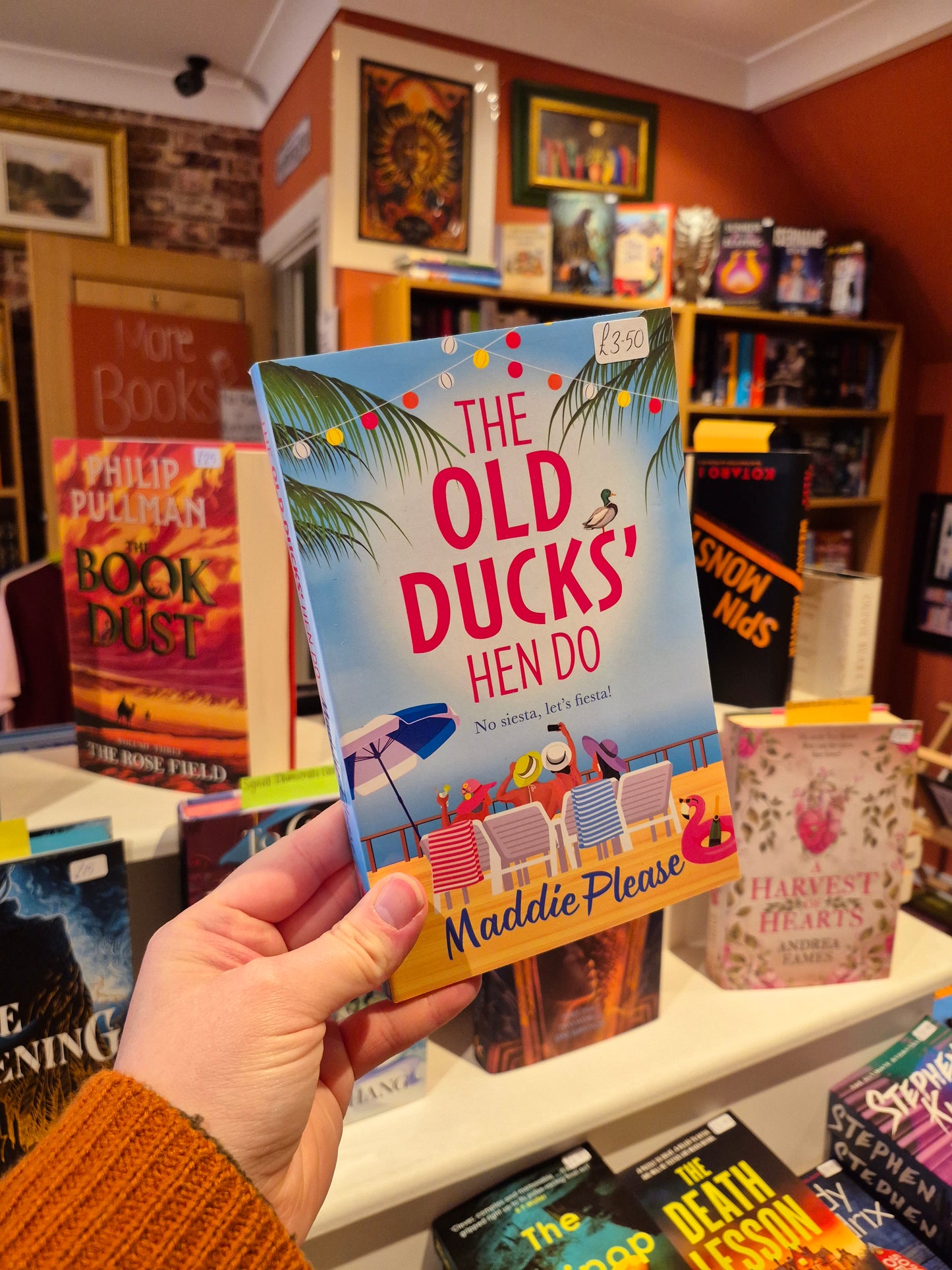 The Old Ducks' Hen Do - Maddie Please