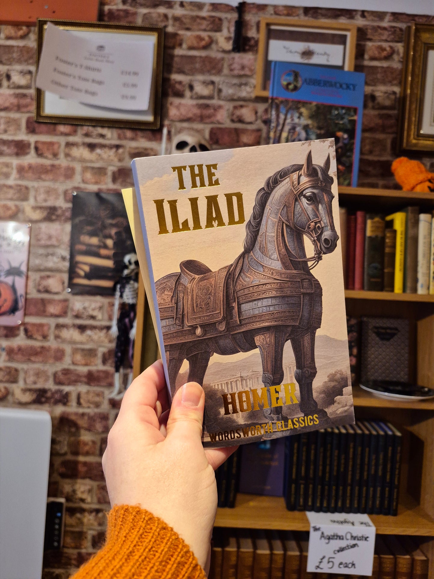 The Iliad - Homer