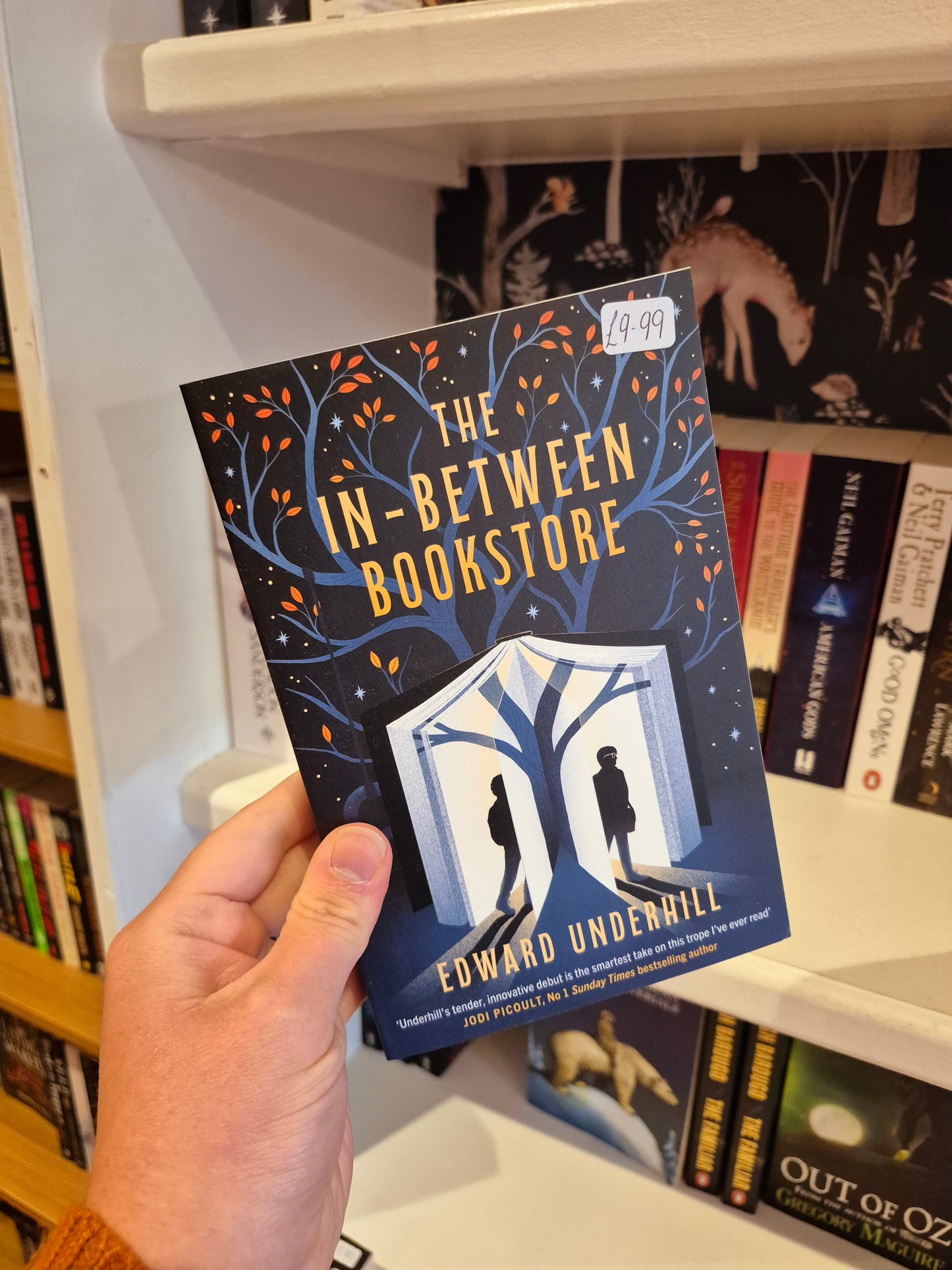 The In-Between Bookstore - Edward Underhill