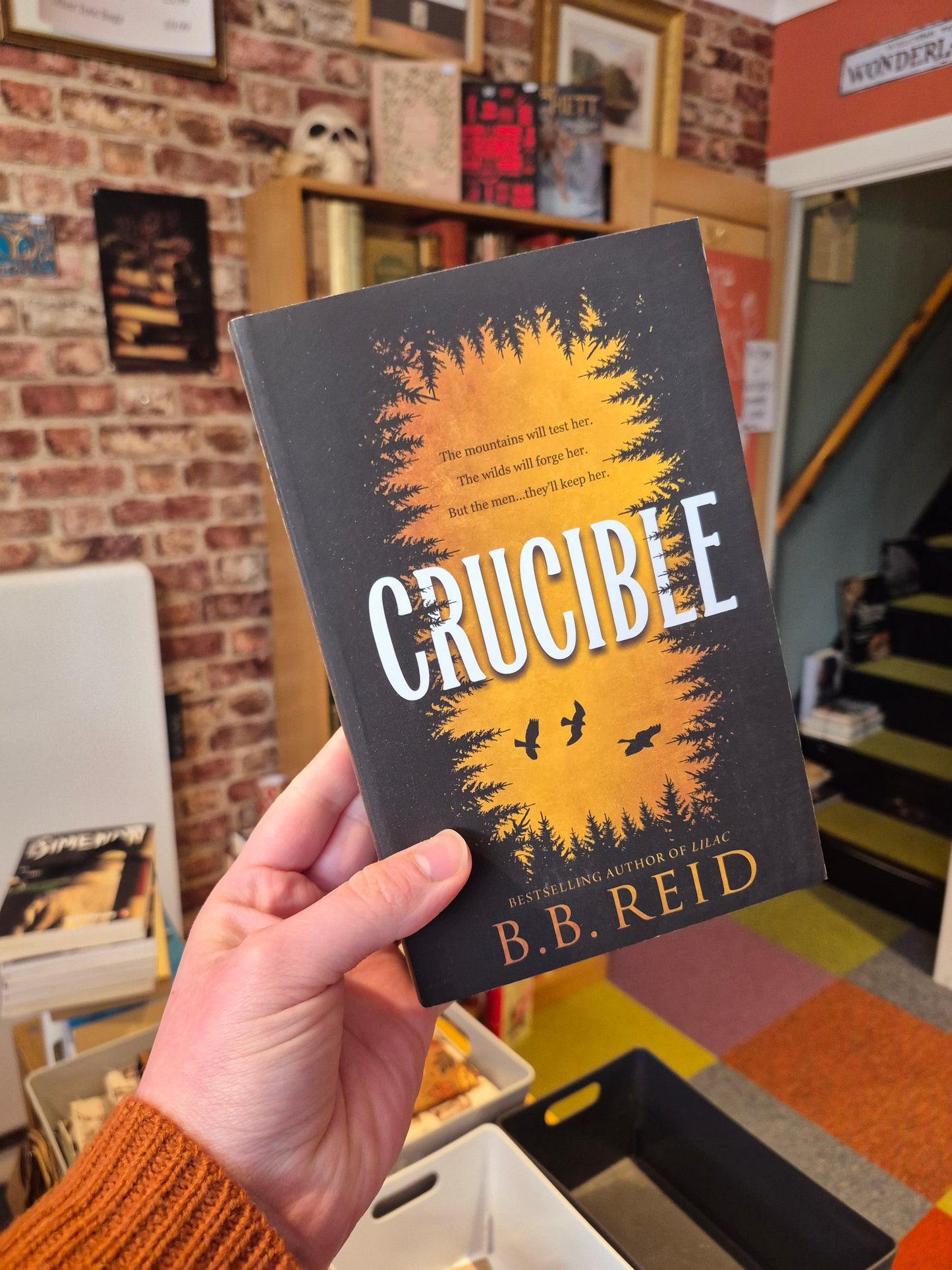 Crucible - BB Reid (Men of the Wilds Book 1)
