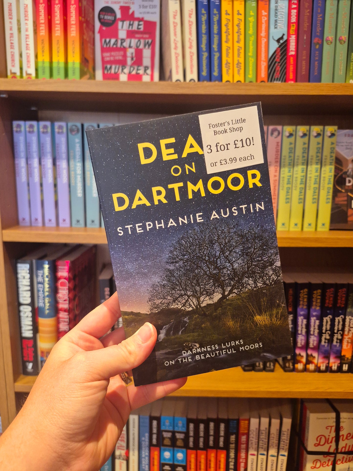 Dead on Dartmoor - Stephanie Austin