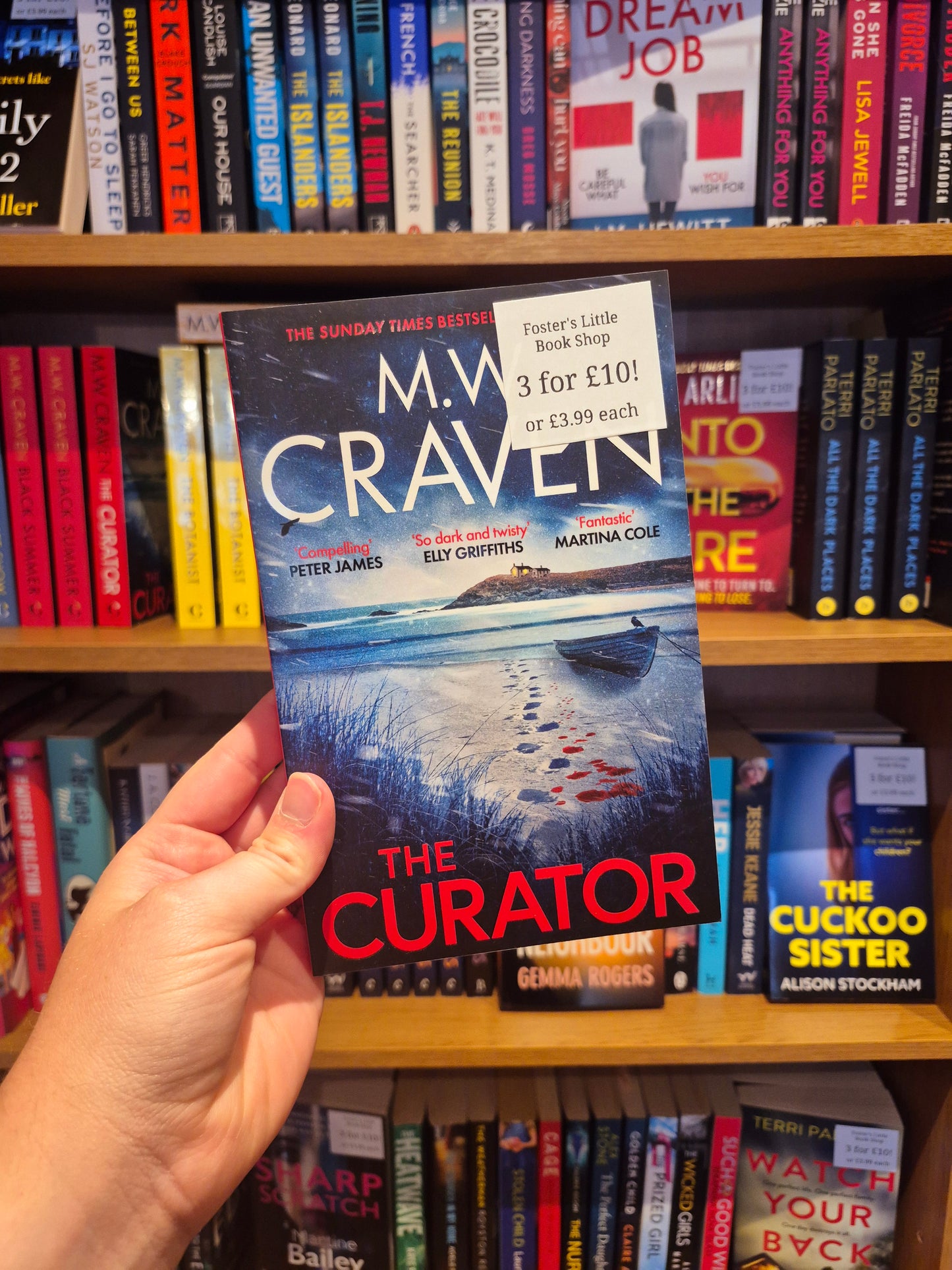 The Curator - MW Craven (Washington Poe Book 3)