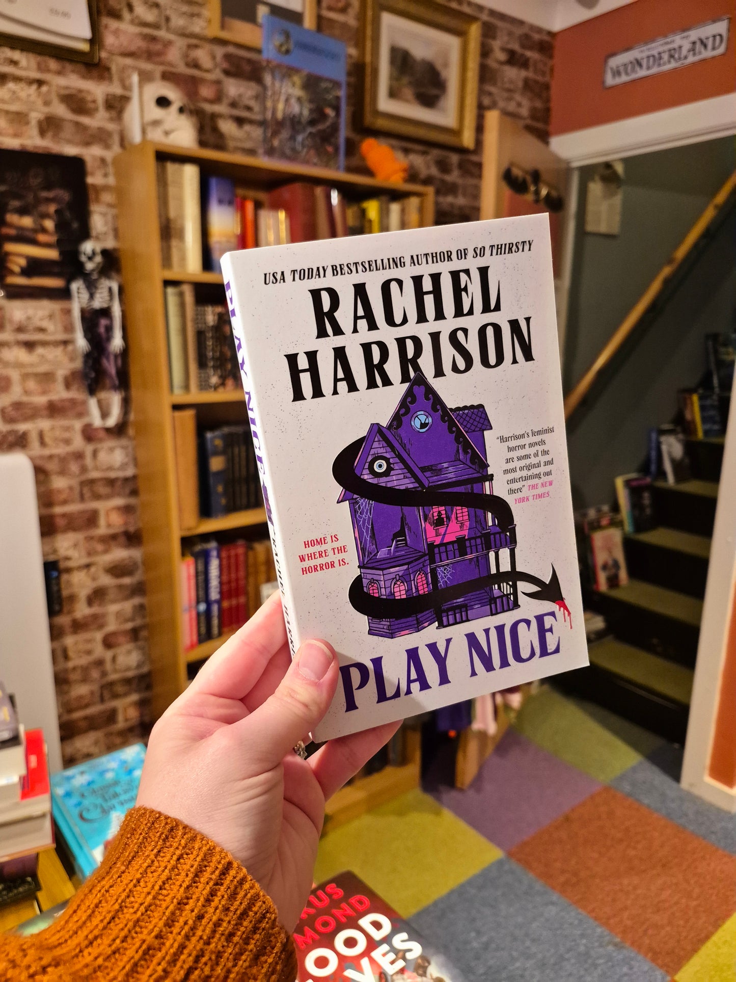 Play Nice - Rachel Harrison