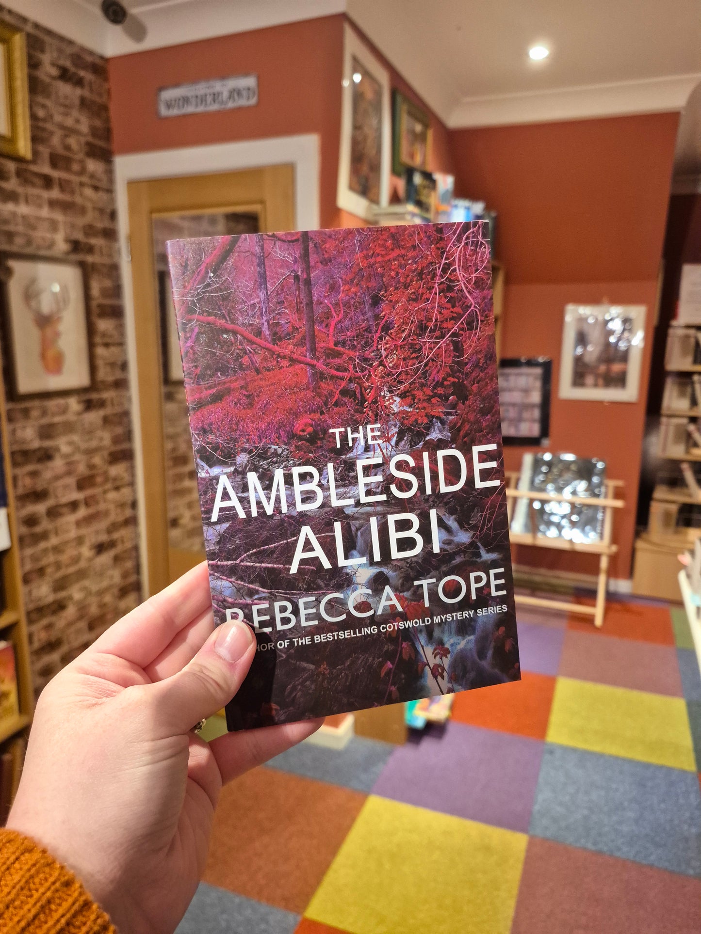 The Ambleside Alibi - Rebecca Tope