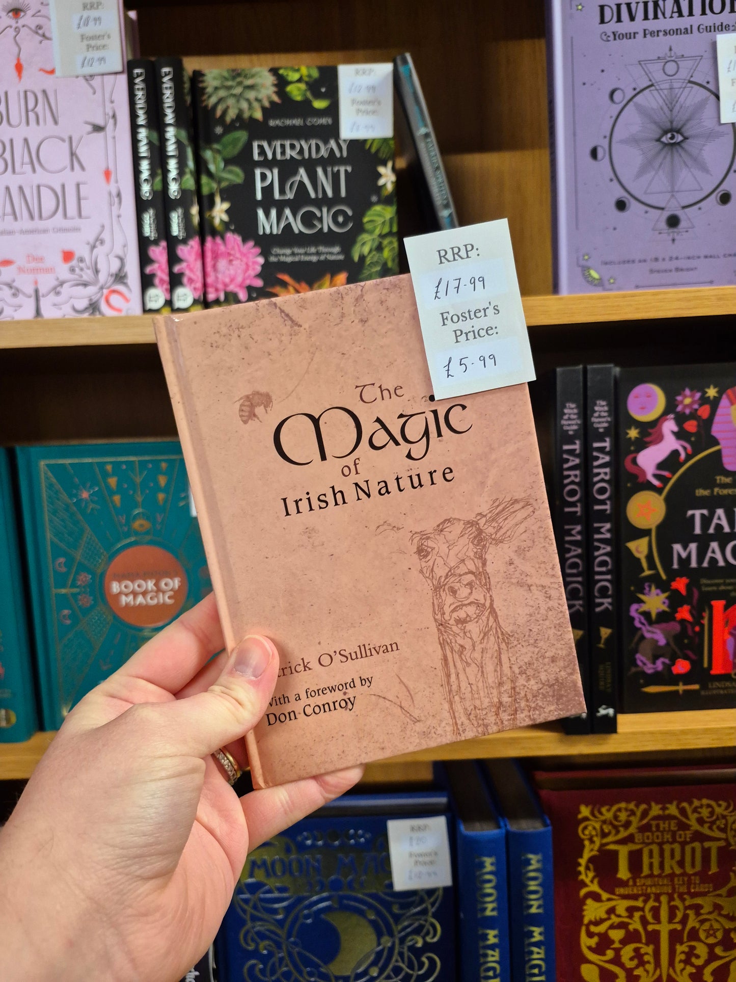 The Magic of Irish Nature