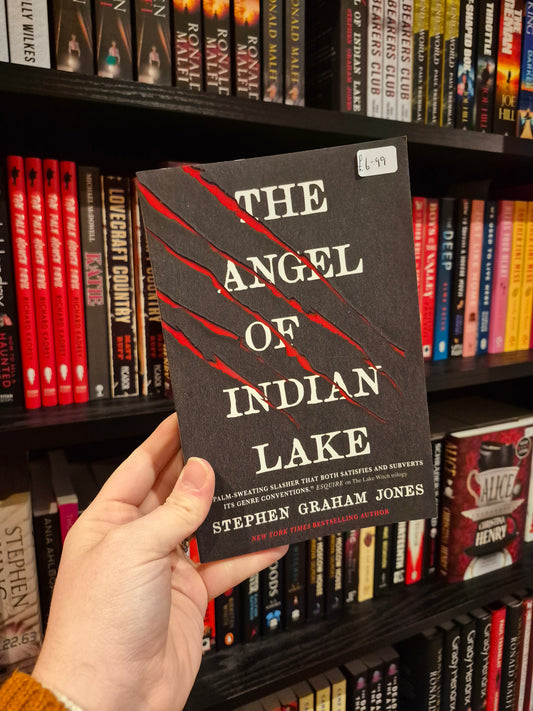 The Angel of Indian Lake - Stephen Graham Jones