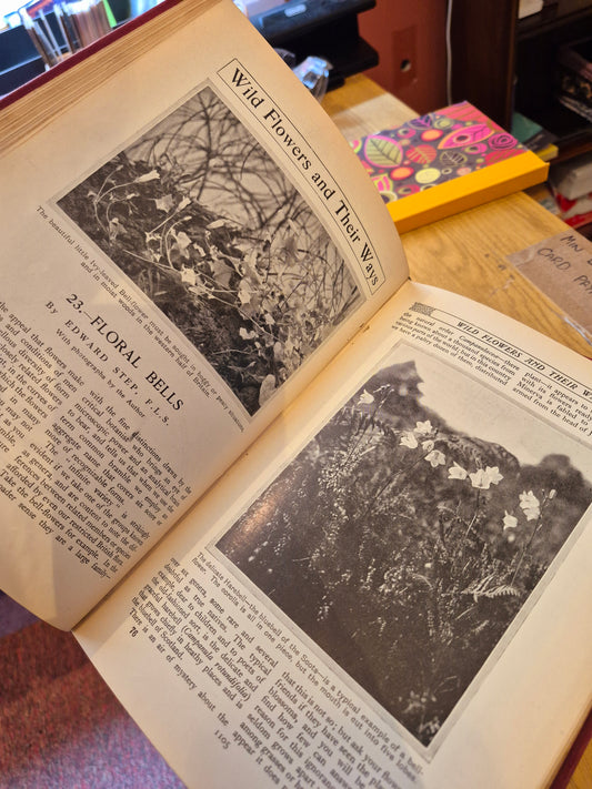 The Pageant of Nature - P Chalmers Mitchell (3 Vol Set, Waverley Ltd)