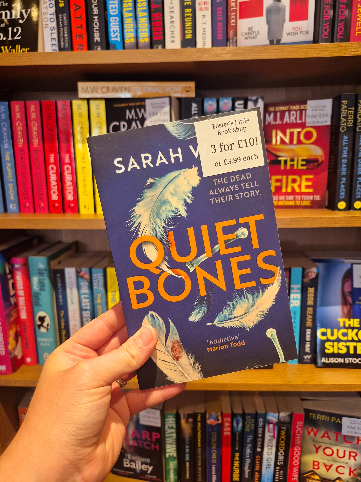 Quiet Bones - Sarah Ward