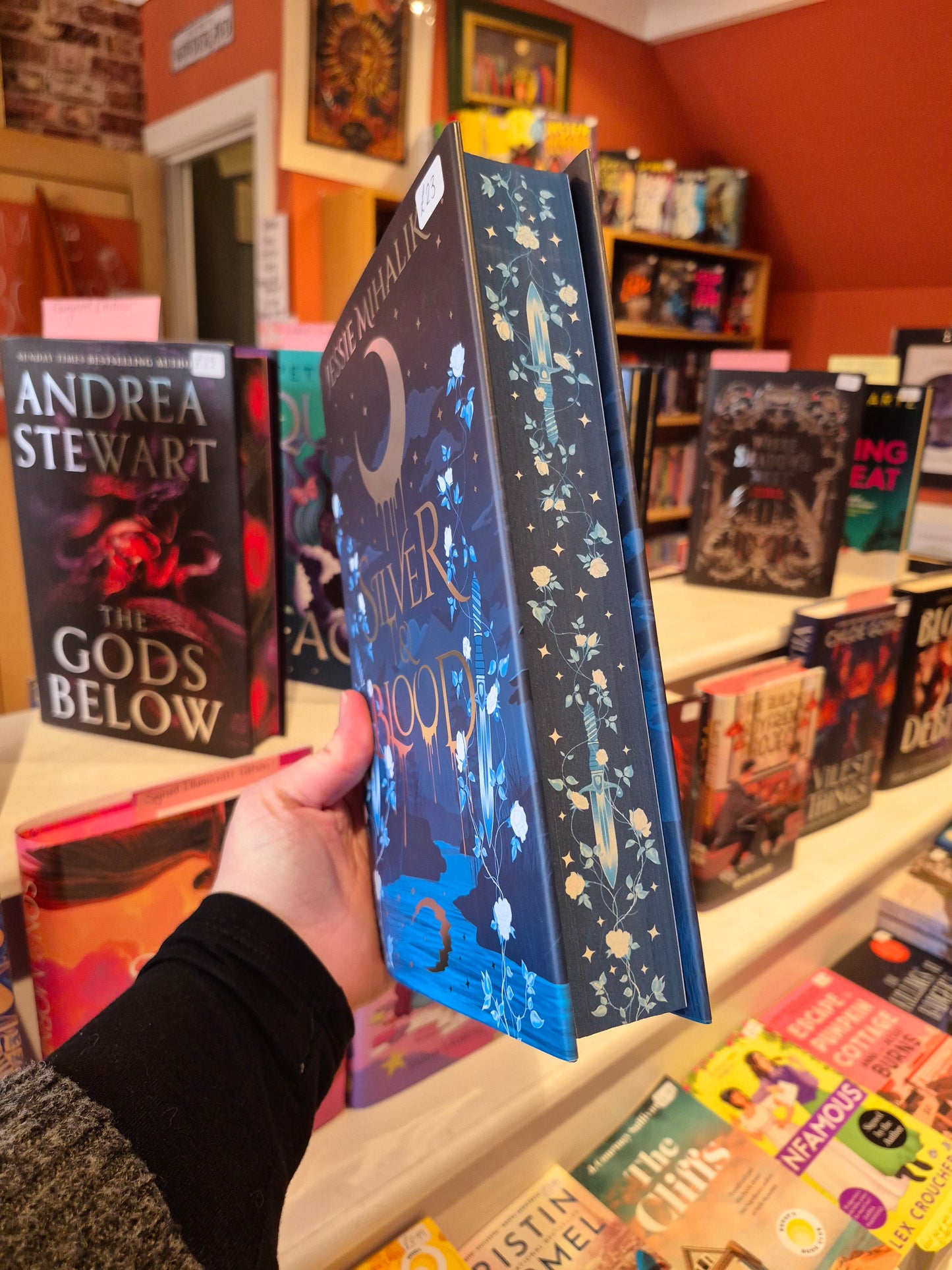 Silver & Blood - Jessie Mihalik (Locked Library Edition)