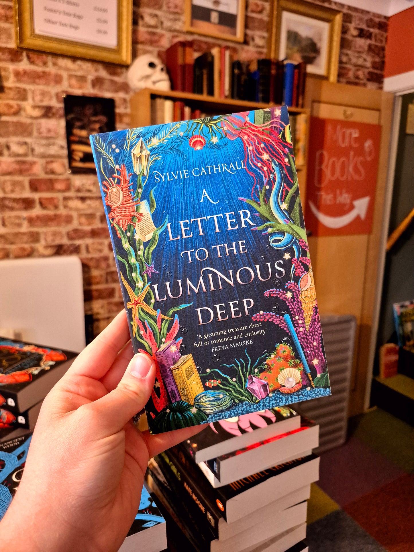 A Letter to the Luminous Deep - Sylvie Cathrall