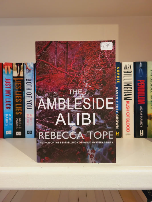 The Ambleside Alibi - Rebecca Tope