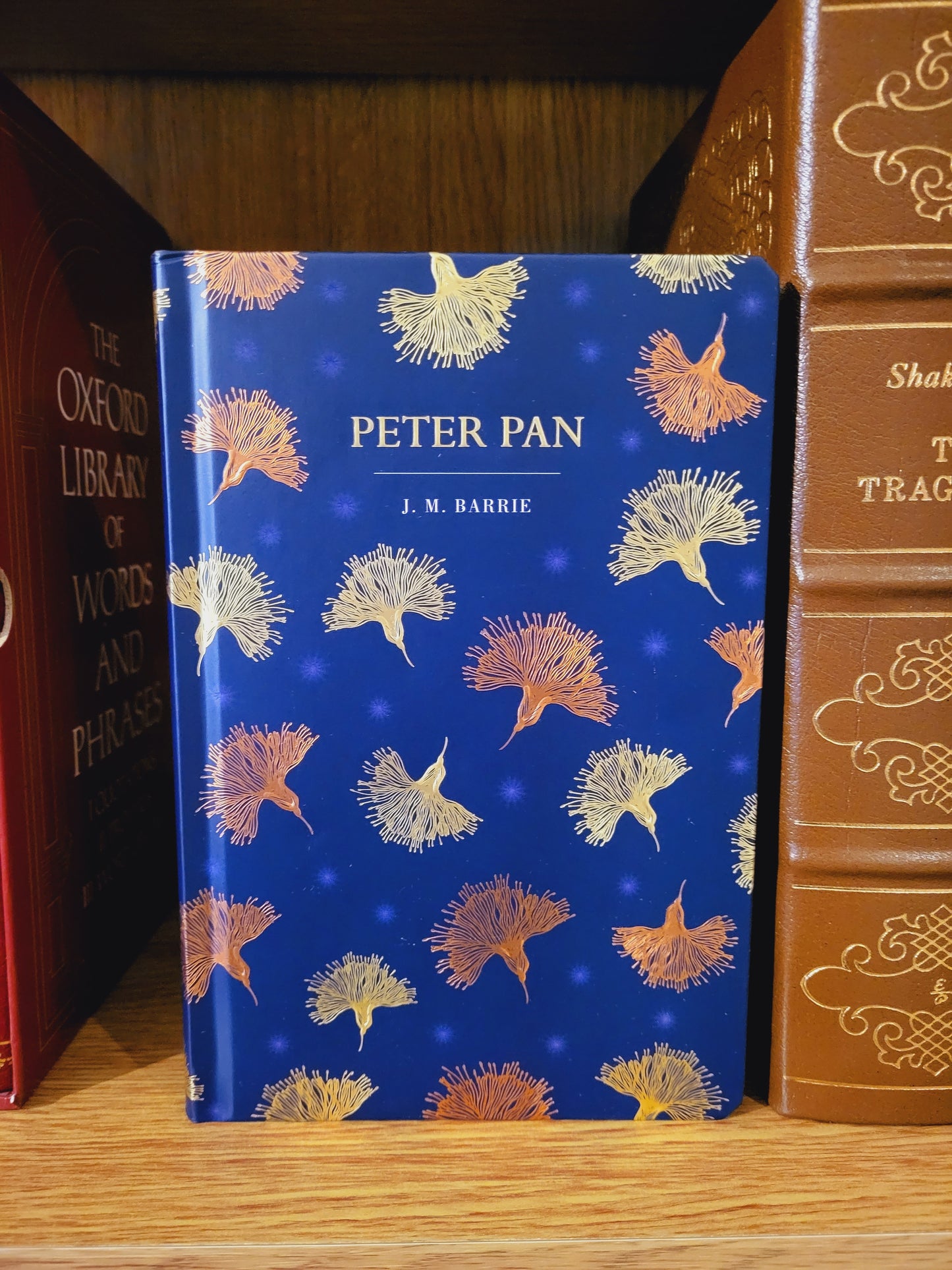 Peter Pan - J.M. Barrie (Chiltern Edition)