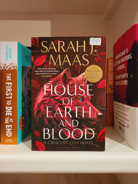 House of Earth and Blood - Sarah J Maas