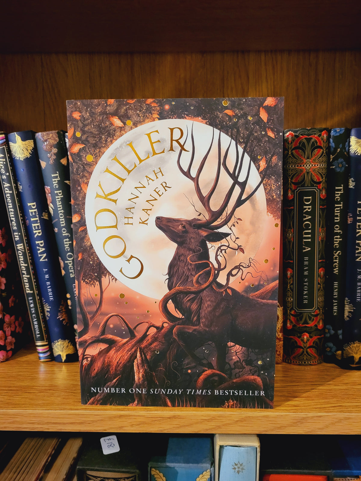 Godkiller Hannah Kaner Foster s Little Book Shop godkiller-hannah-kaner-foster-s-little-book-shop