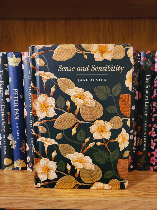 Sense and Sensibility - Jane Austen (Chiltern Edition)