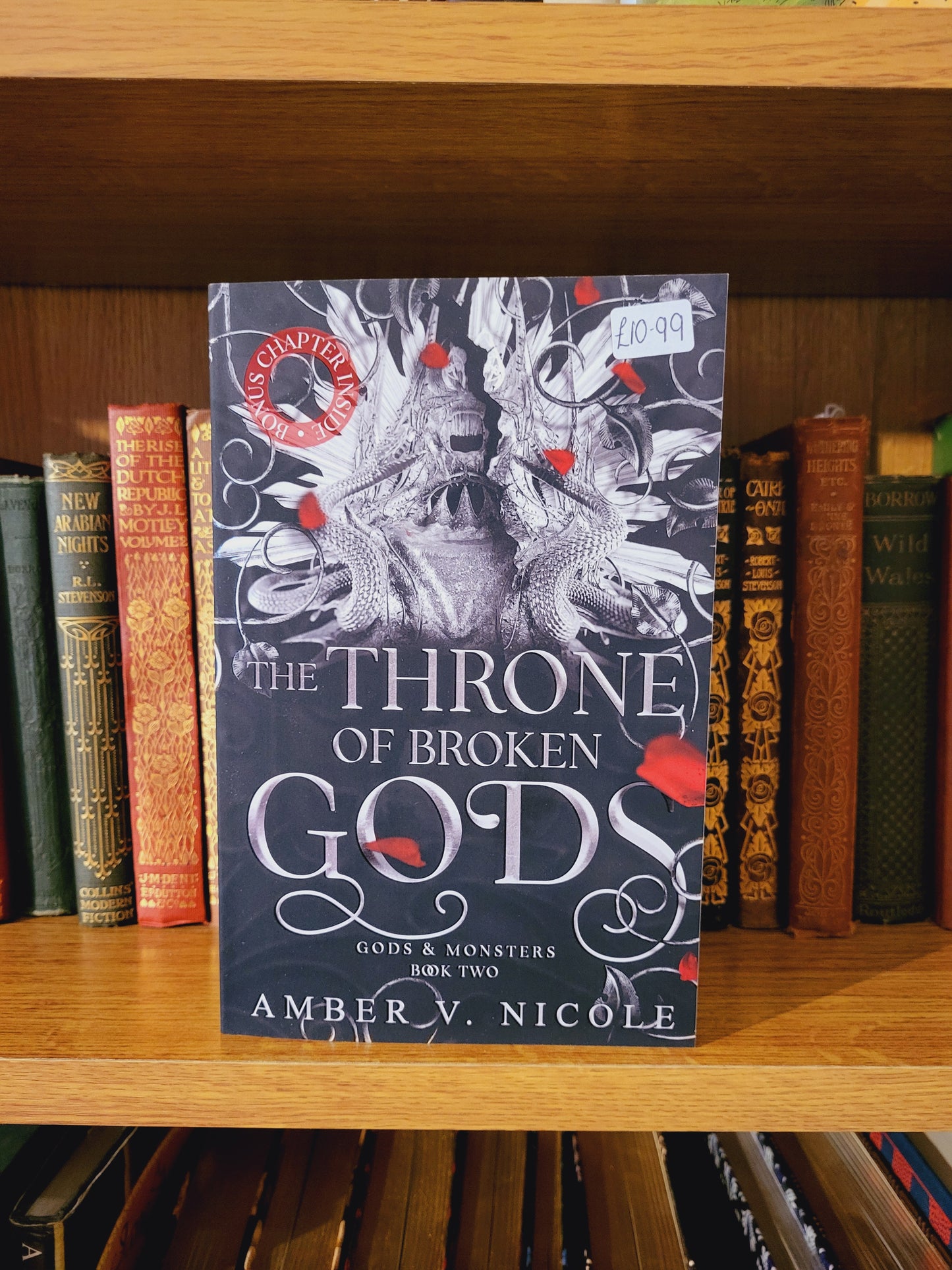The Throne of Broken Gods - Amber V. Nicole