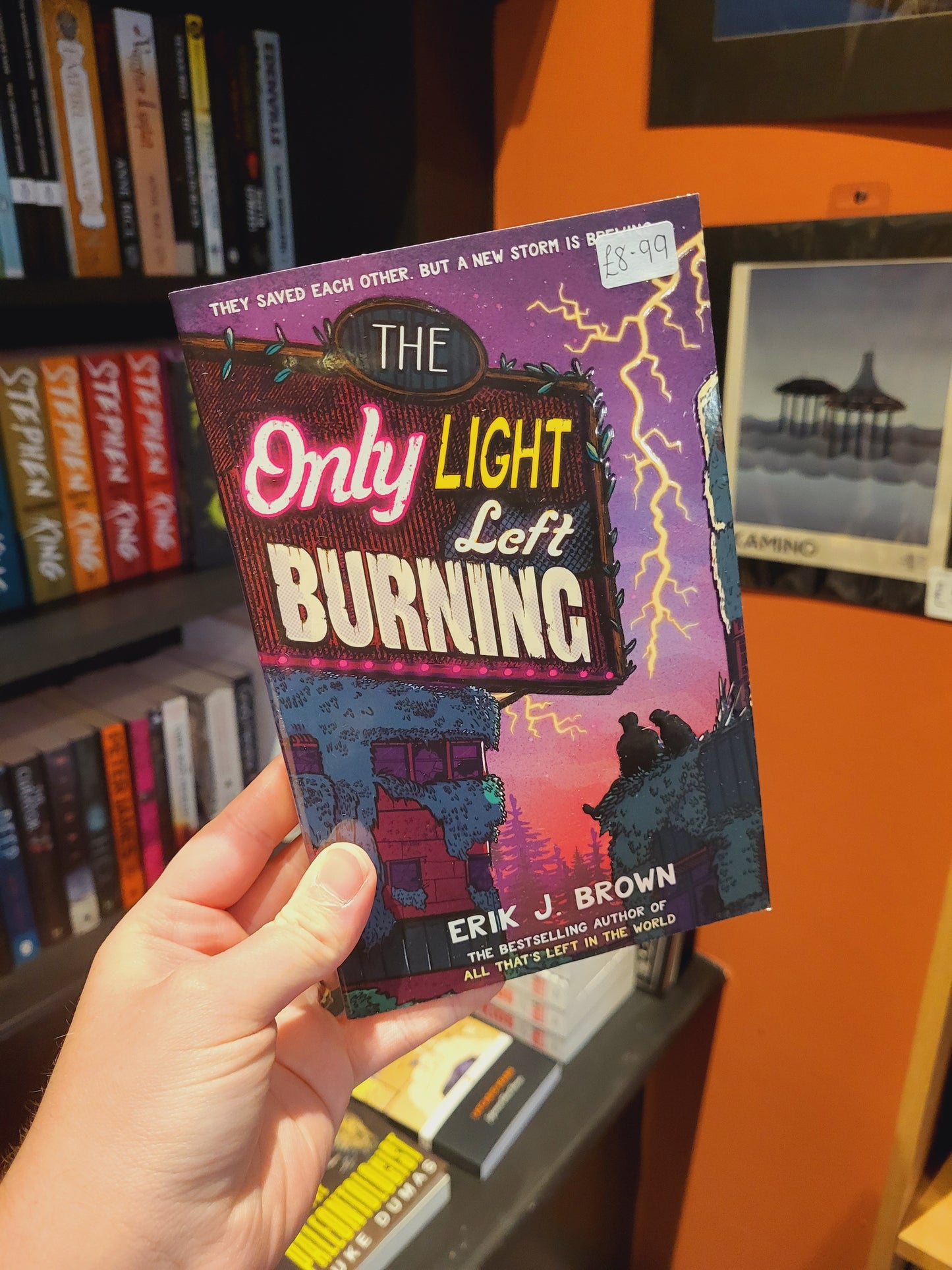 The Only Light Left Burning - Erik J. Brown