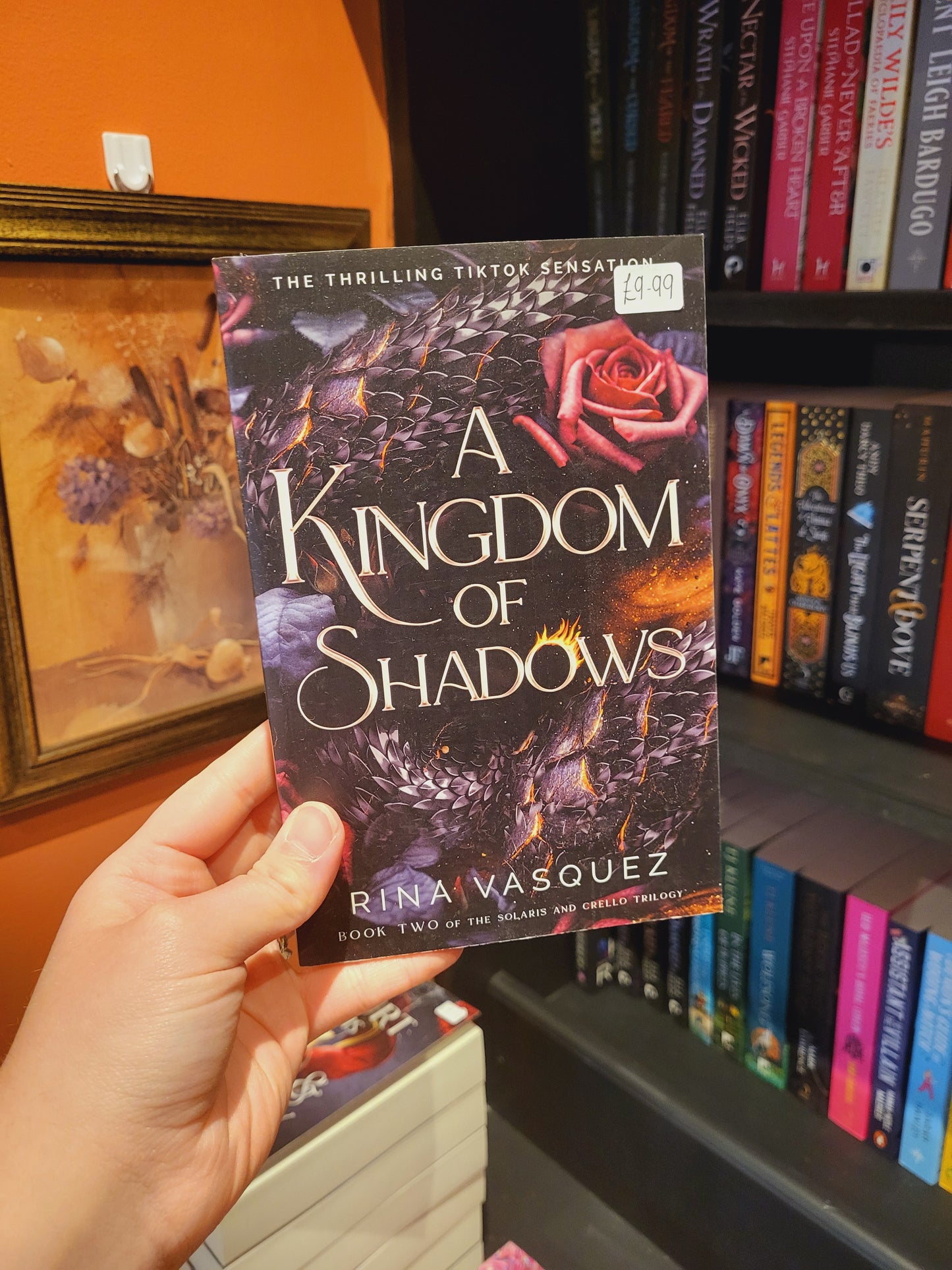 A Kingdom of Shadows - Rina Vasquez