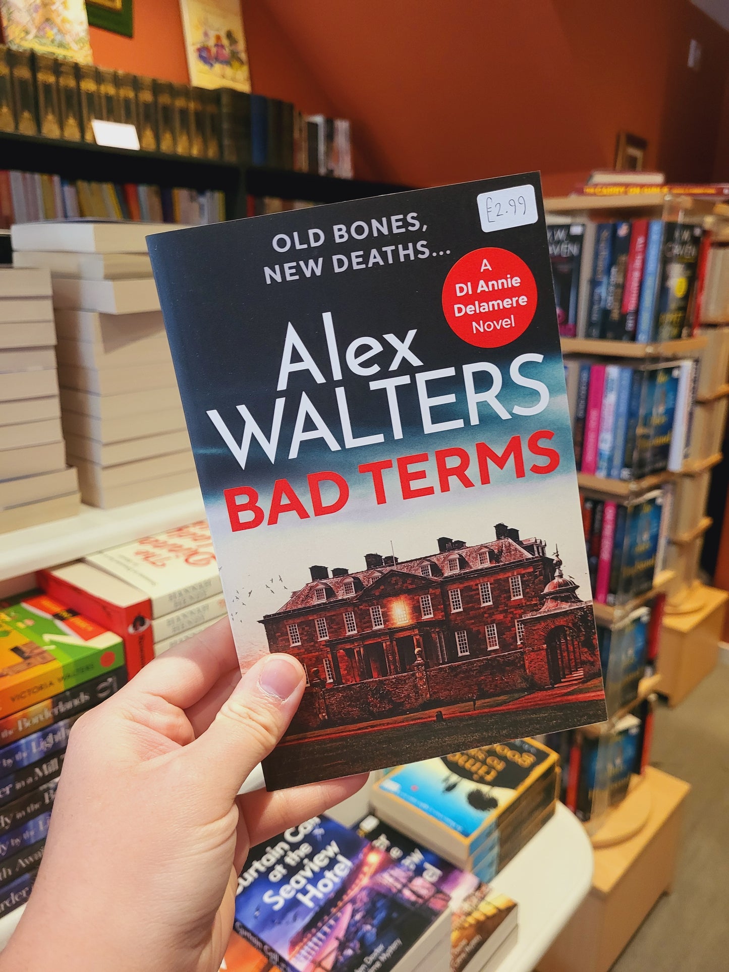 Bad Terms - Alex Walters