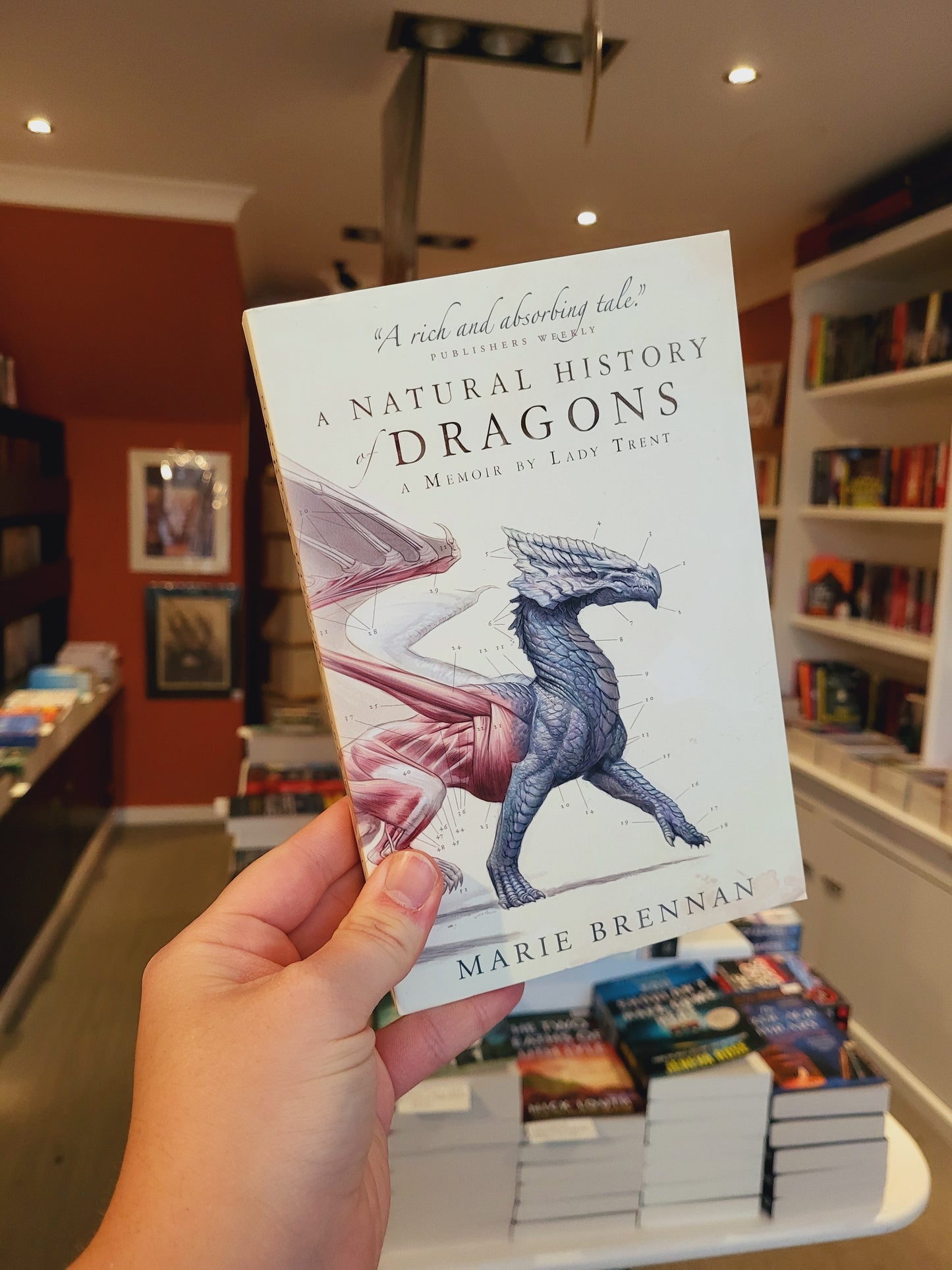 A Natural History of Dragons - Marie Brennan