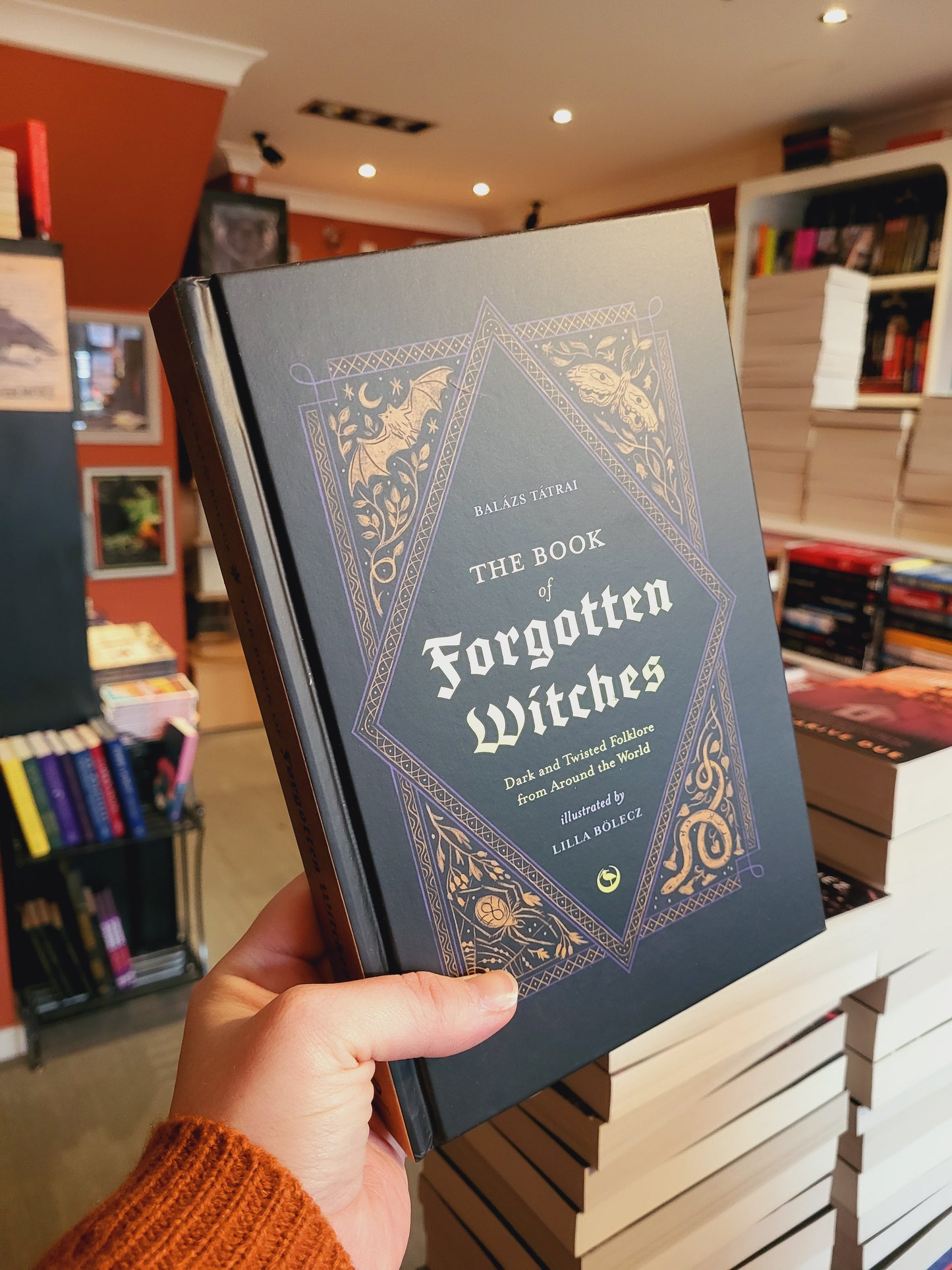 The Book of Forgotten Witches