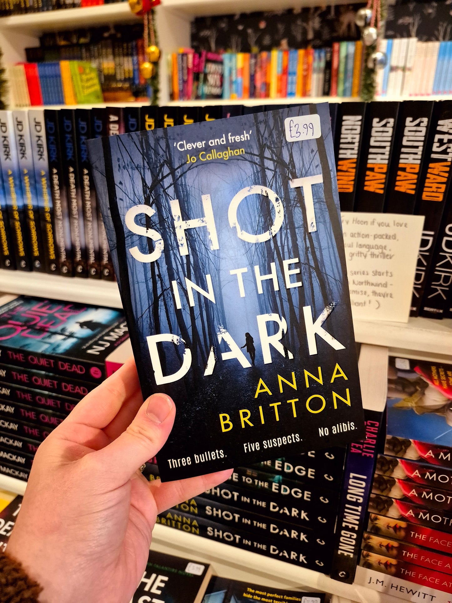 Shot in the Dark - Anna Britton