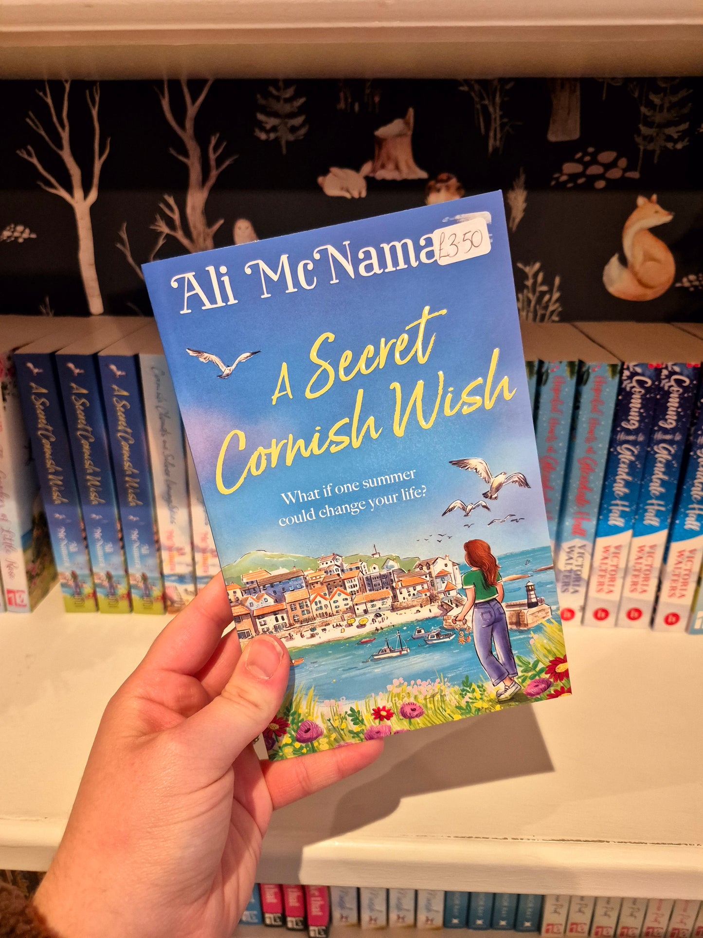 A Secret Cornish Wish - Ali McNamara