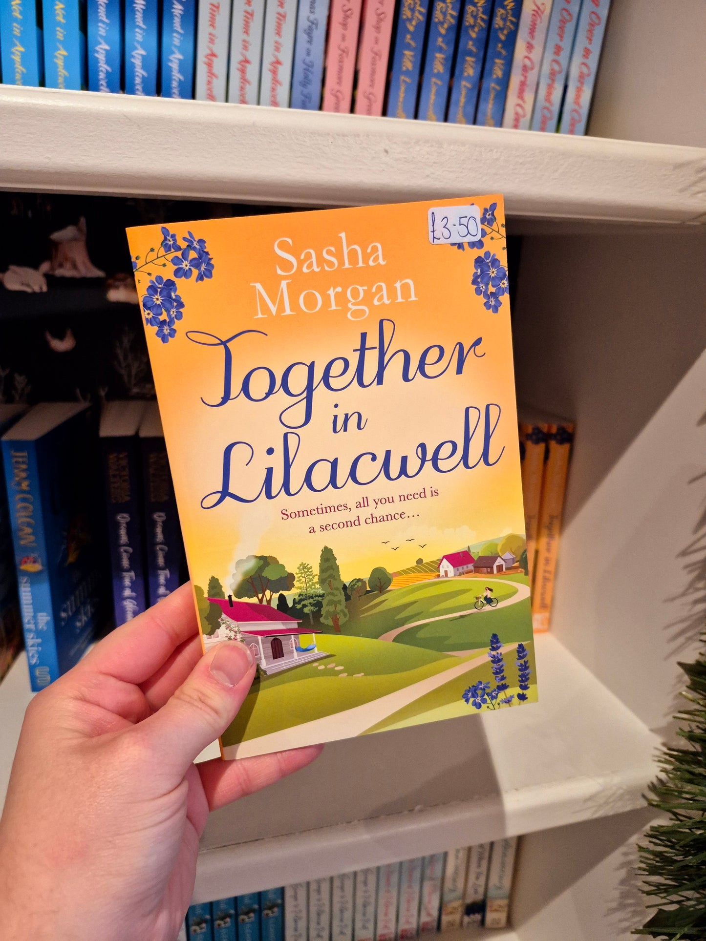 Together in Lilacwell - Sasha Morgan