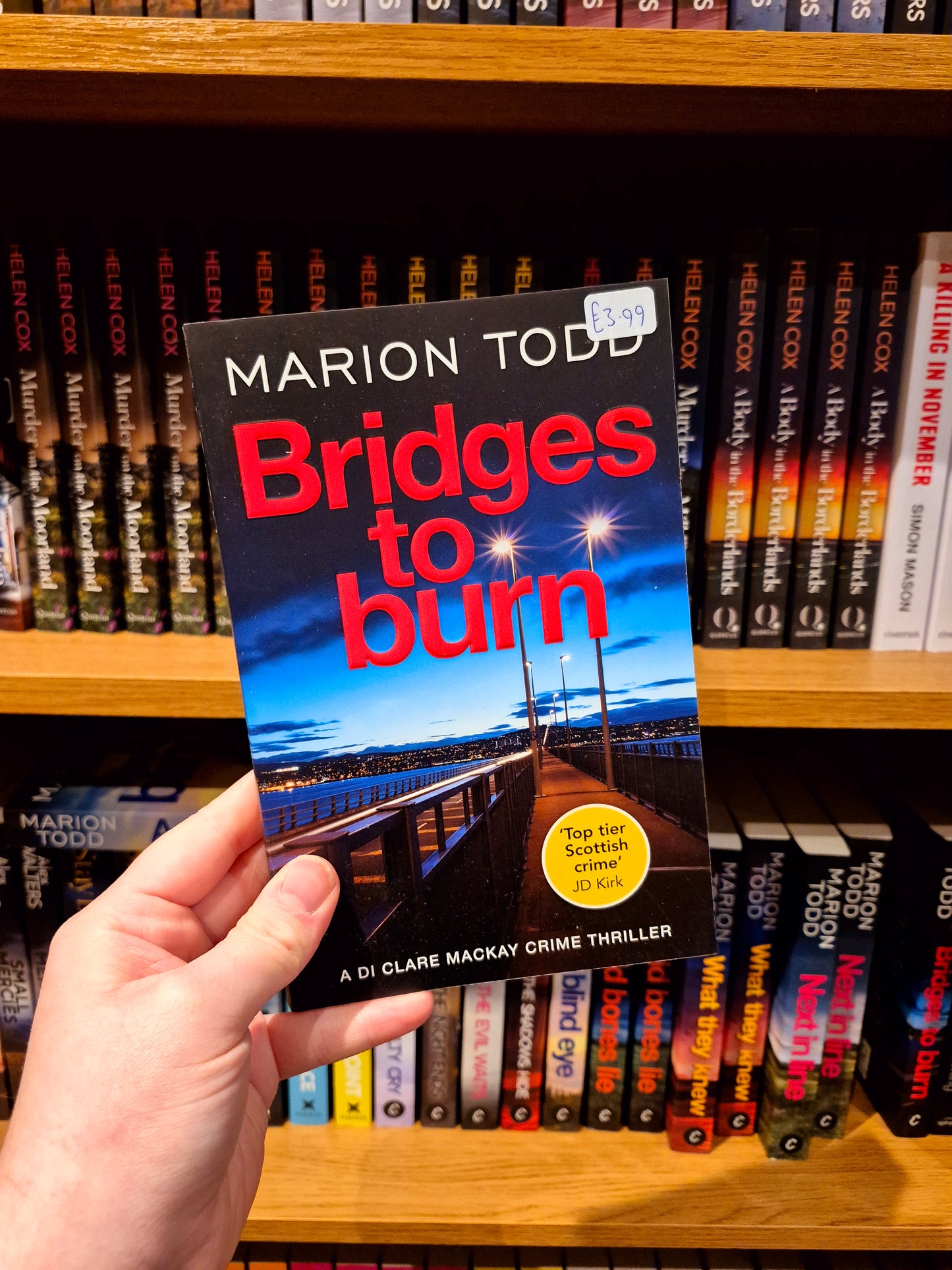 Bridges to Burn - Marion Todd