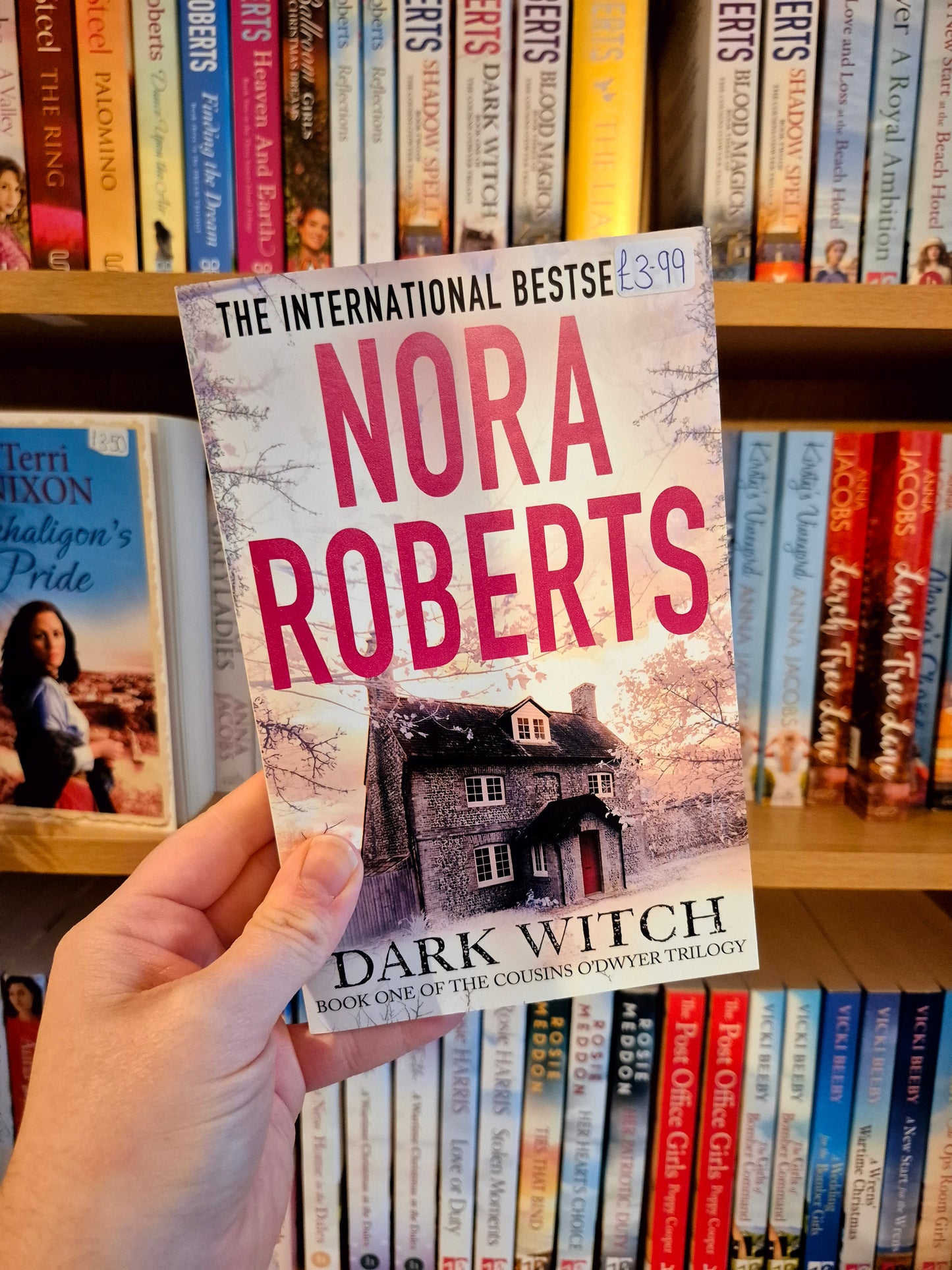 Dark Witch - Nora Roberts