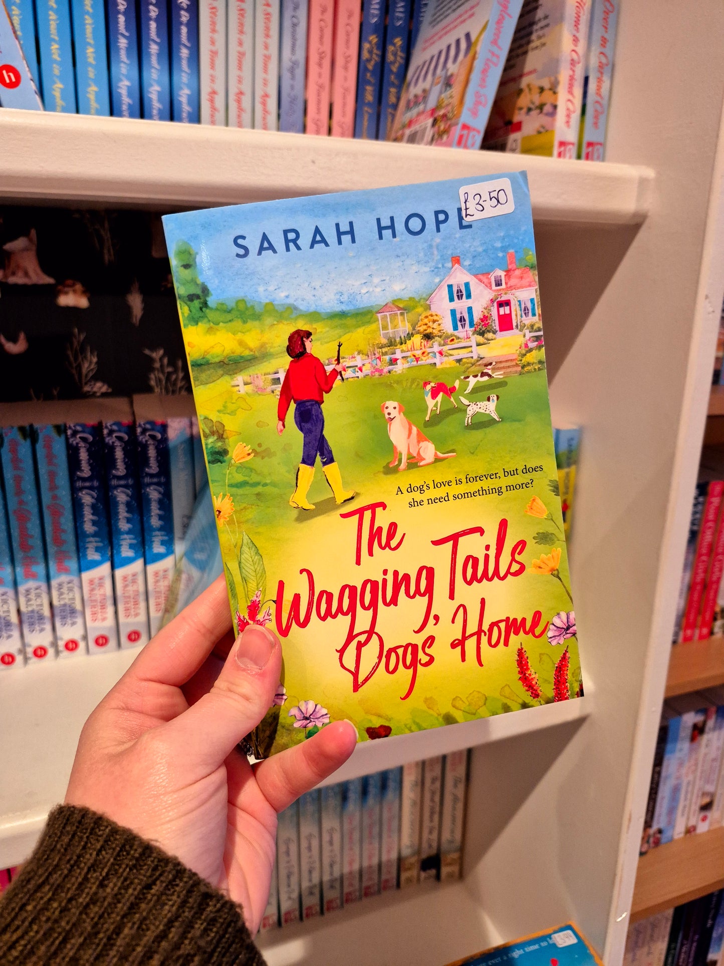 The Wagging Tails Dog's Home - Sarah Hope